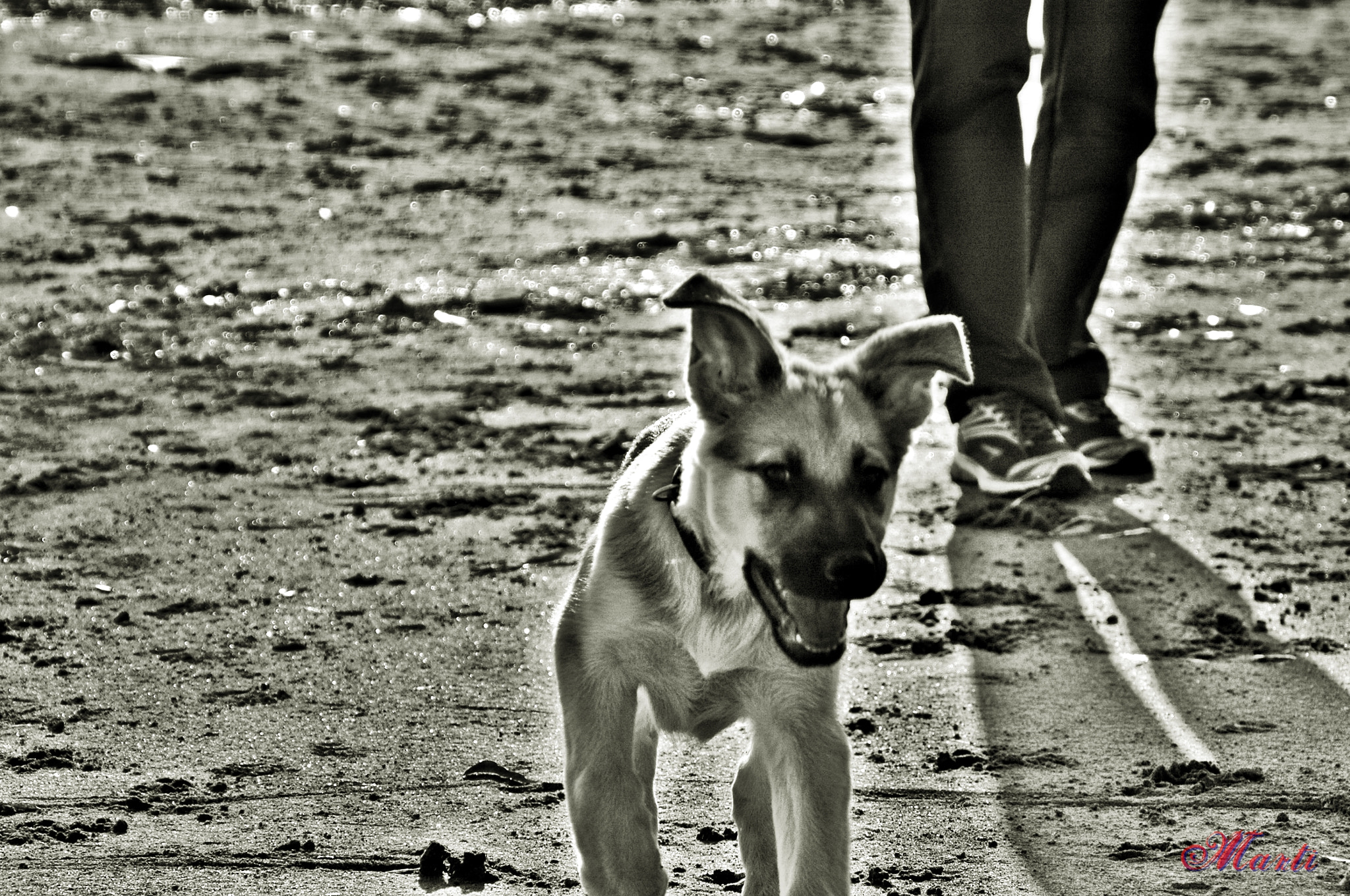 Nikon D70 sample photo. Sirrah photography