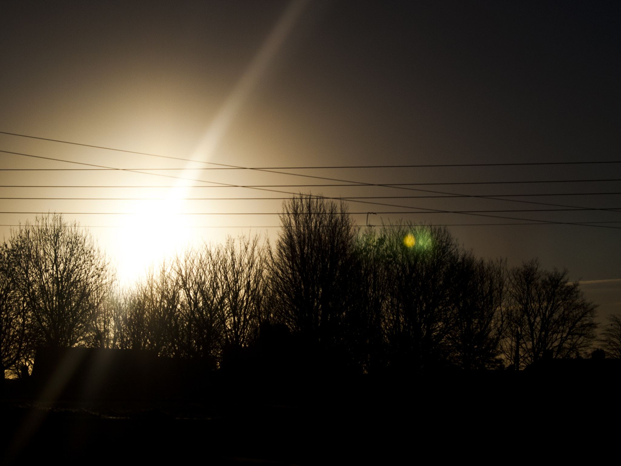Olympus E-450 (EVOLT E-450) sample photo. Generic lens flare into sun photography