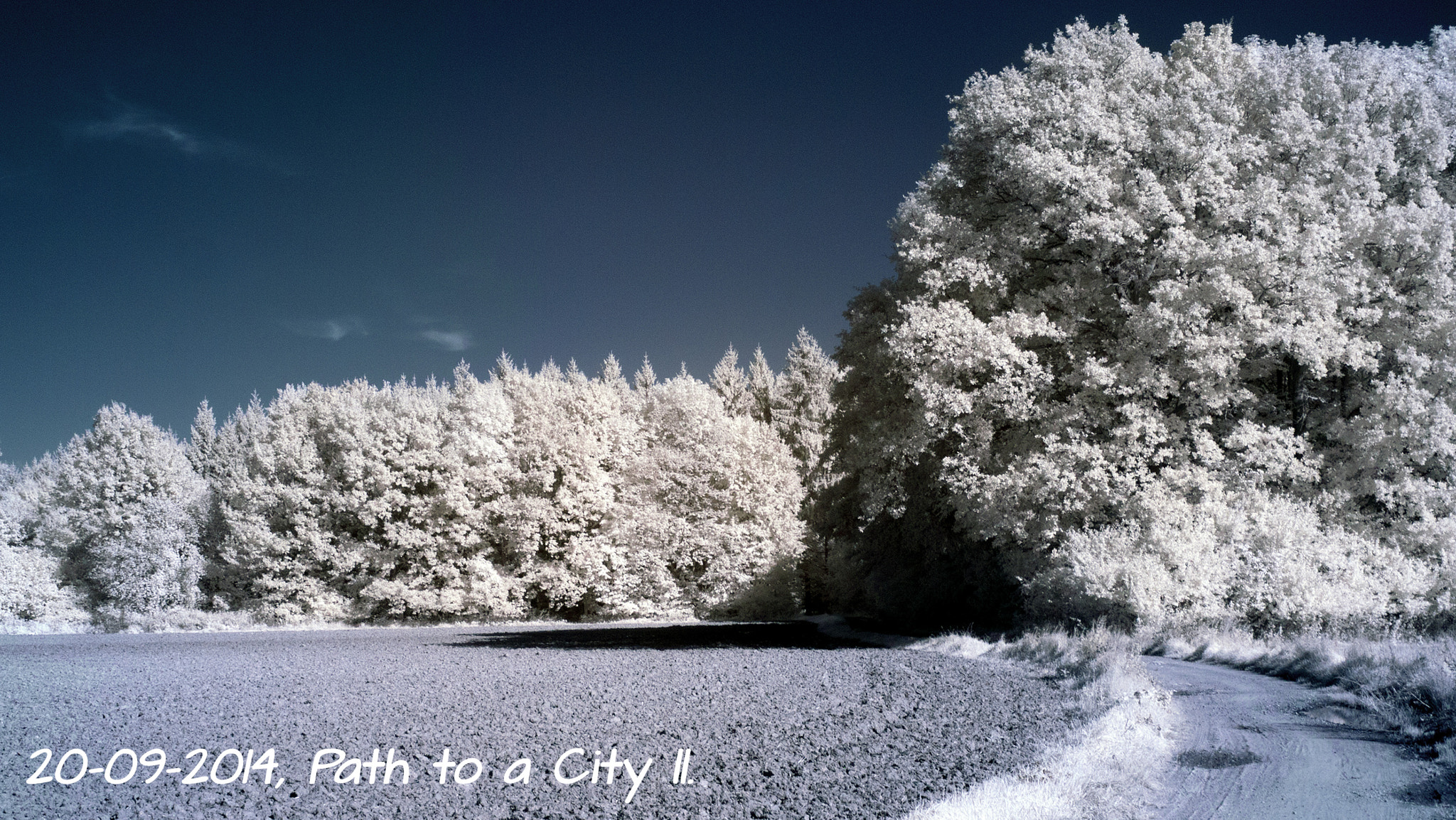 Olympus PEN E-PM1 sample photo. Path to a city ll. photography