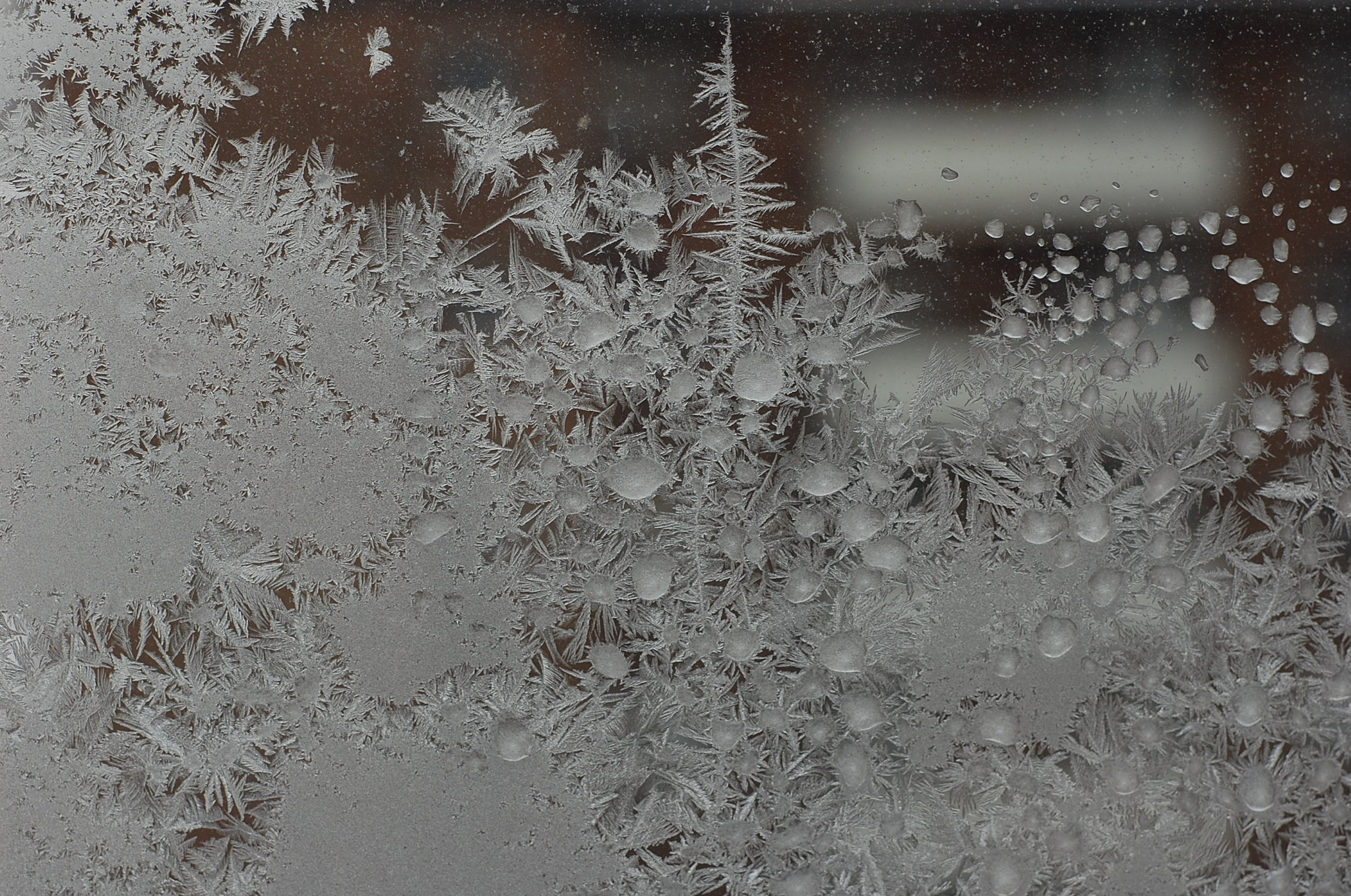 Nikon D40 + Nikon AF Nikkor 50mm F1.8D sample photo. The ice photography
