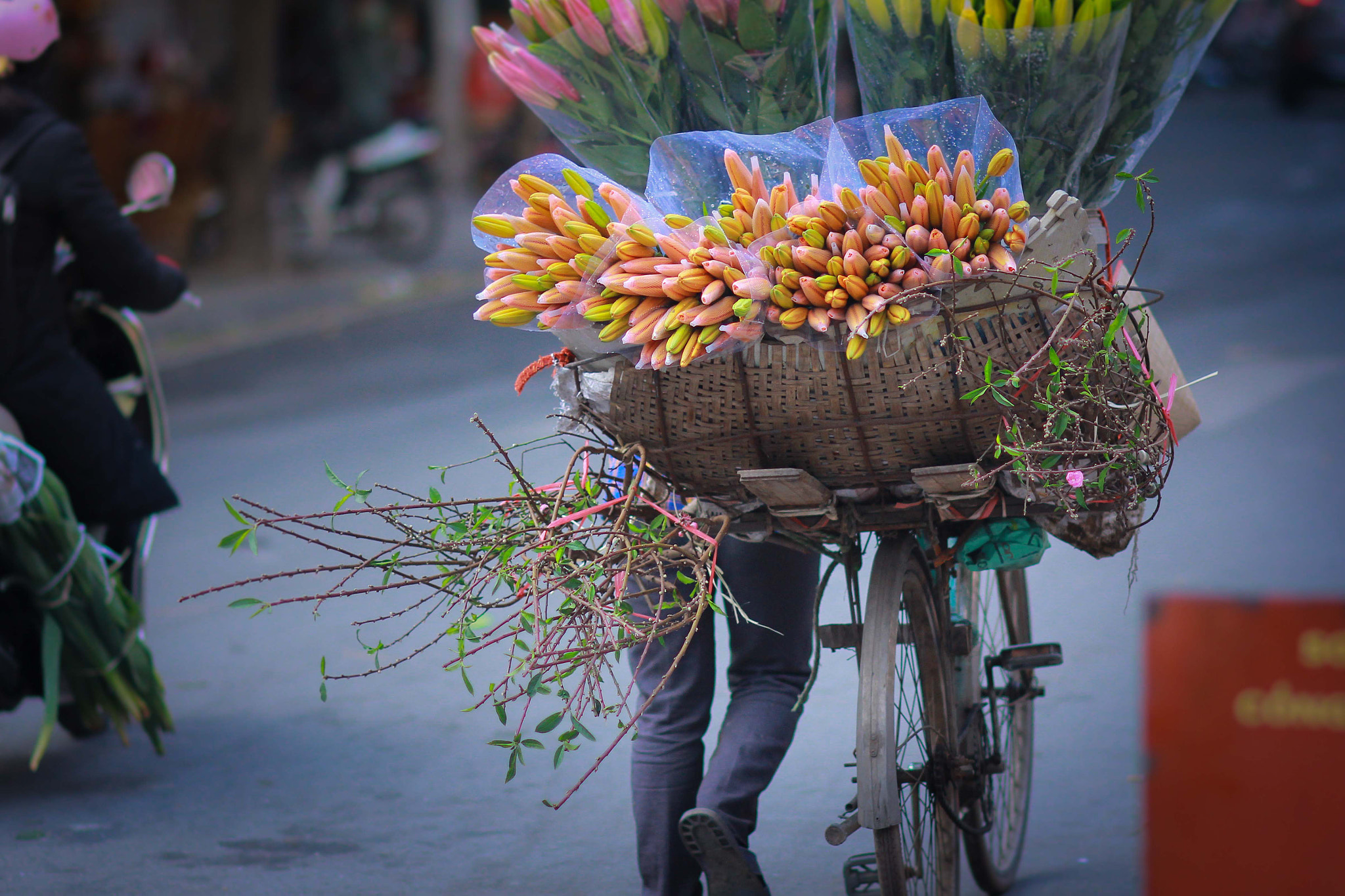 Canon EOS 60D + Canon EF 100mm F2.0 USM sample photo. Hanoi1 photography