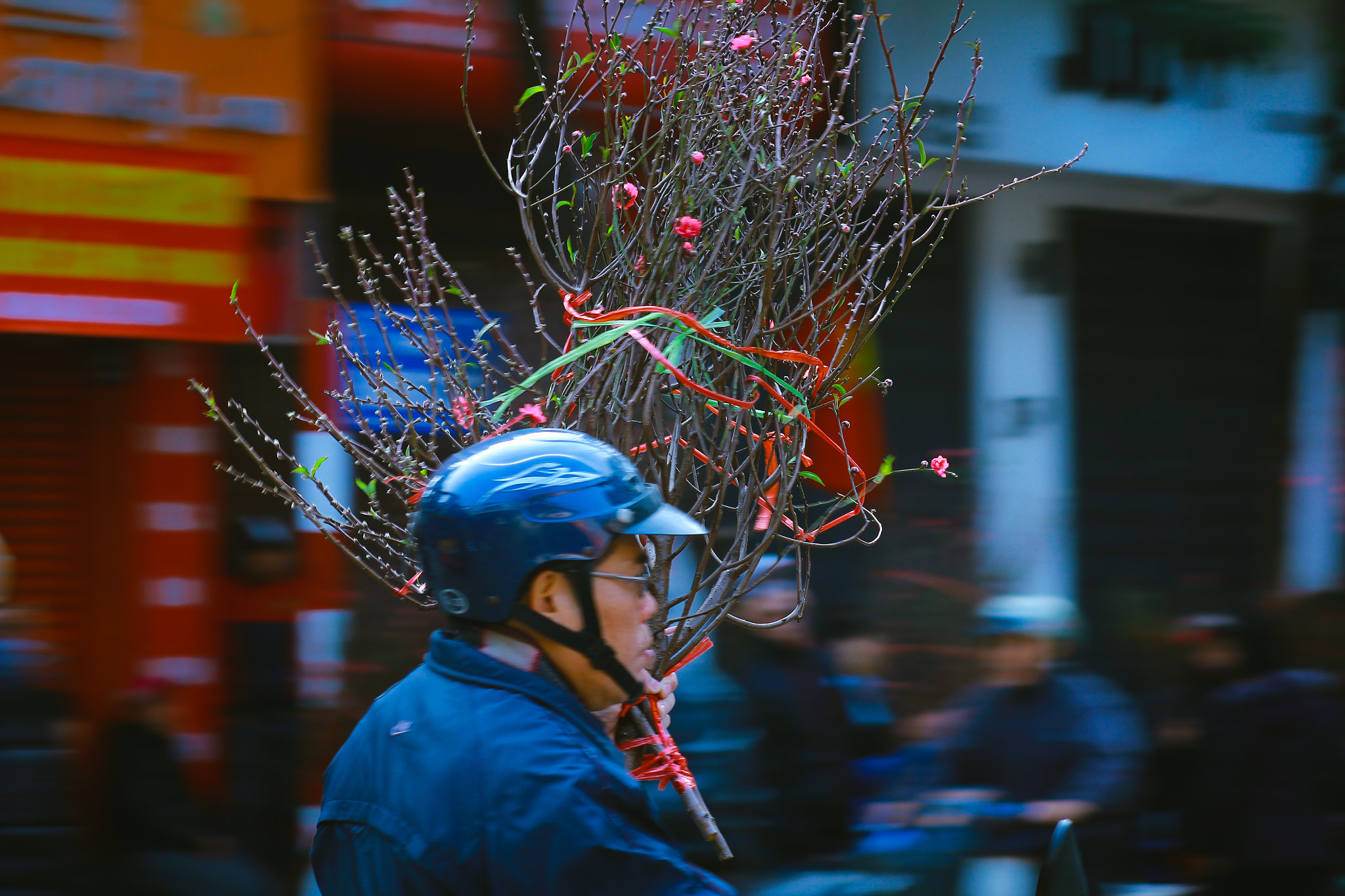 Canon EOS 60D + Canon EF 100mm F2.0 USM sample photo. Hanoi3 photography