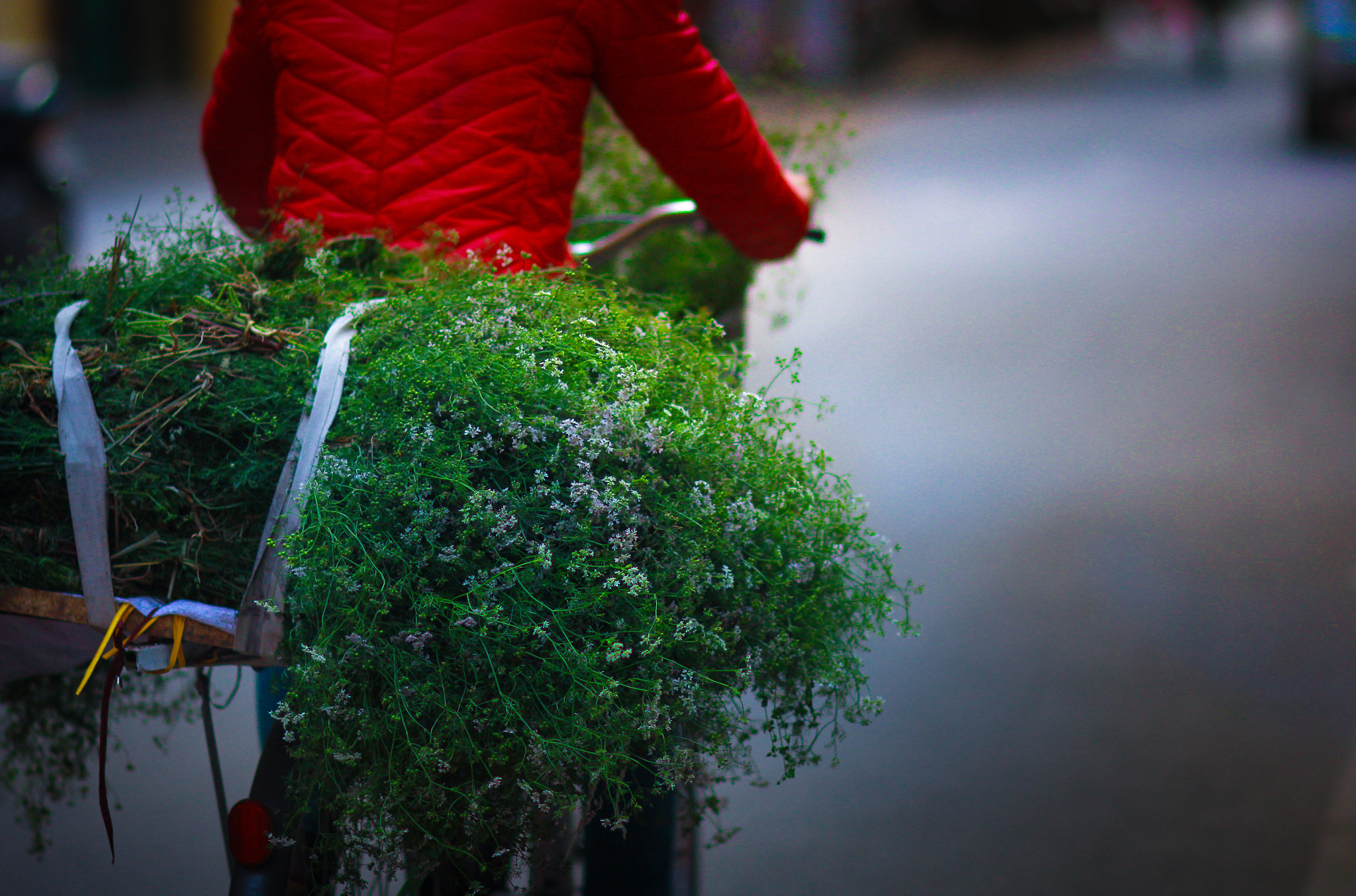 Canon EOS 60D + Canon EF 100mm F2.0 USM sample photo. Hanoi5 photography