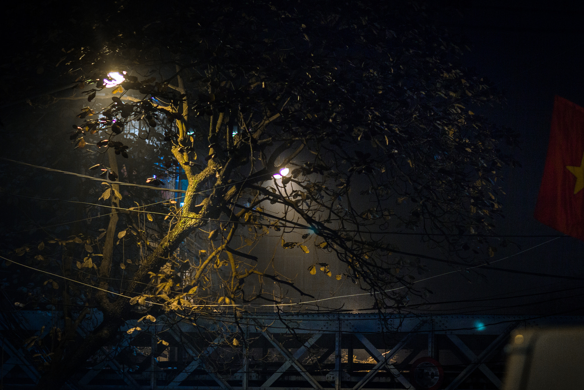 Canon EOS 60D + Canon EF 100mm F2.0 USM sample photo. Hanoi11 photography