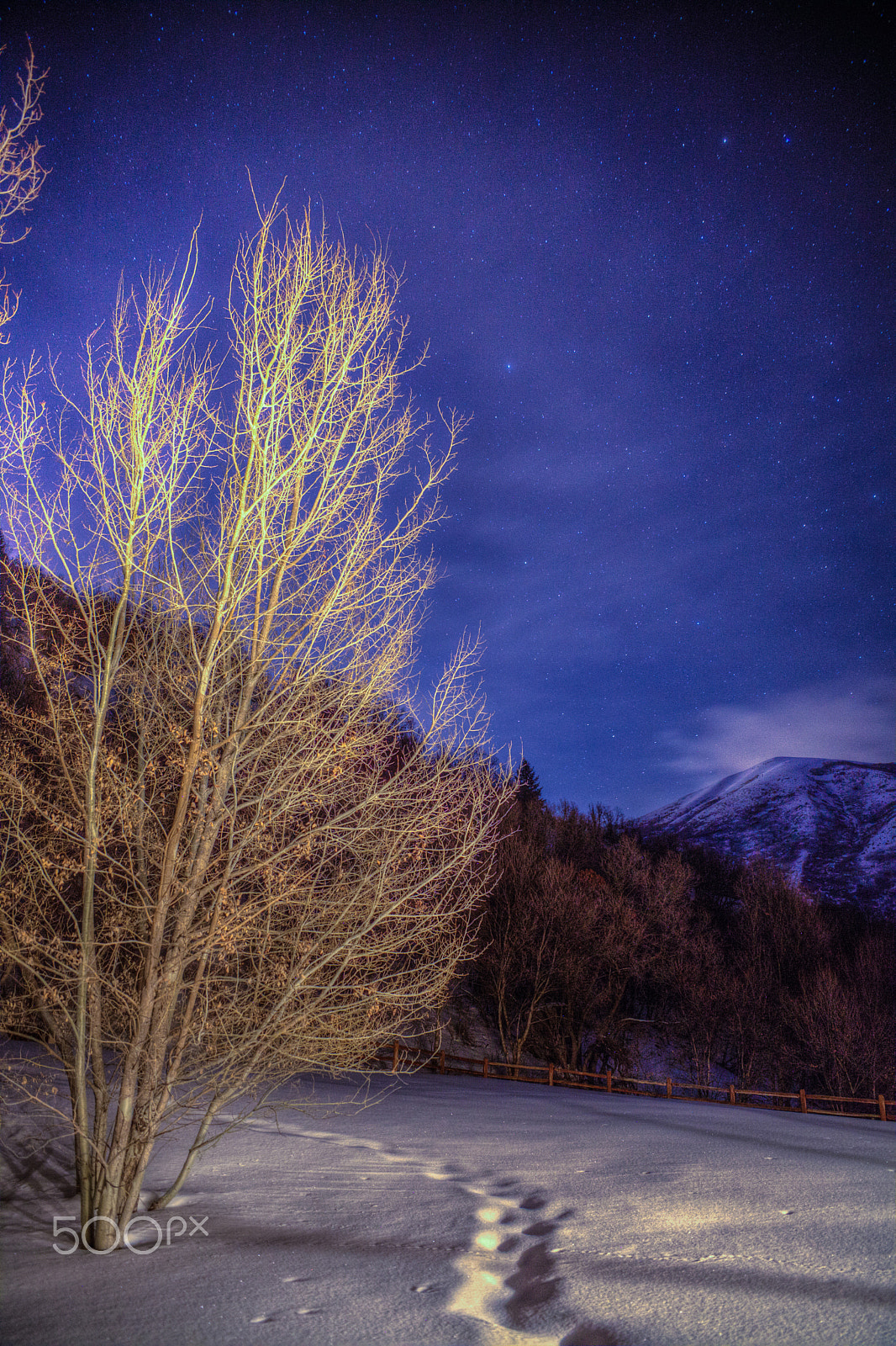 Canon EOS 5D Mark II + Canon EF 400mm f/2.8L sample photo. Stars above covered bridge canyon photography