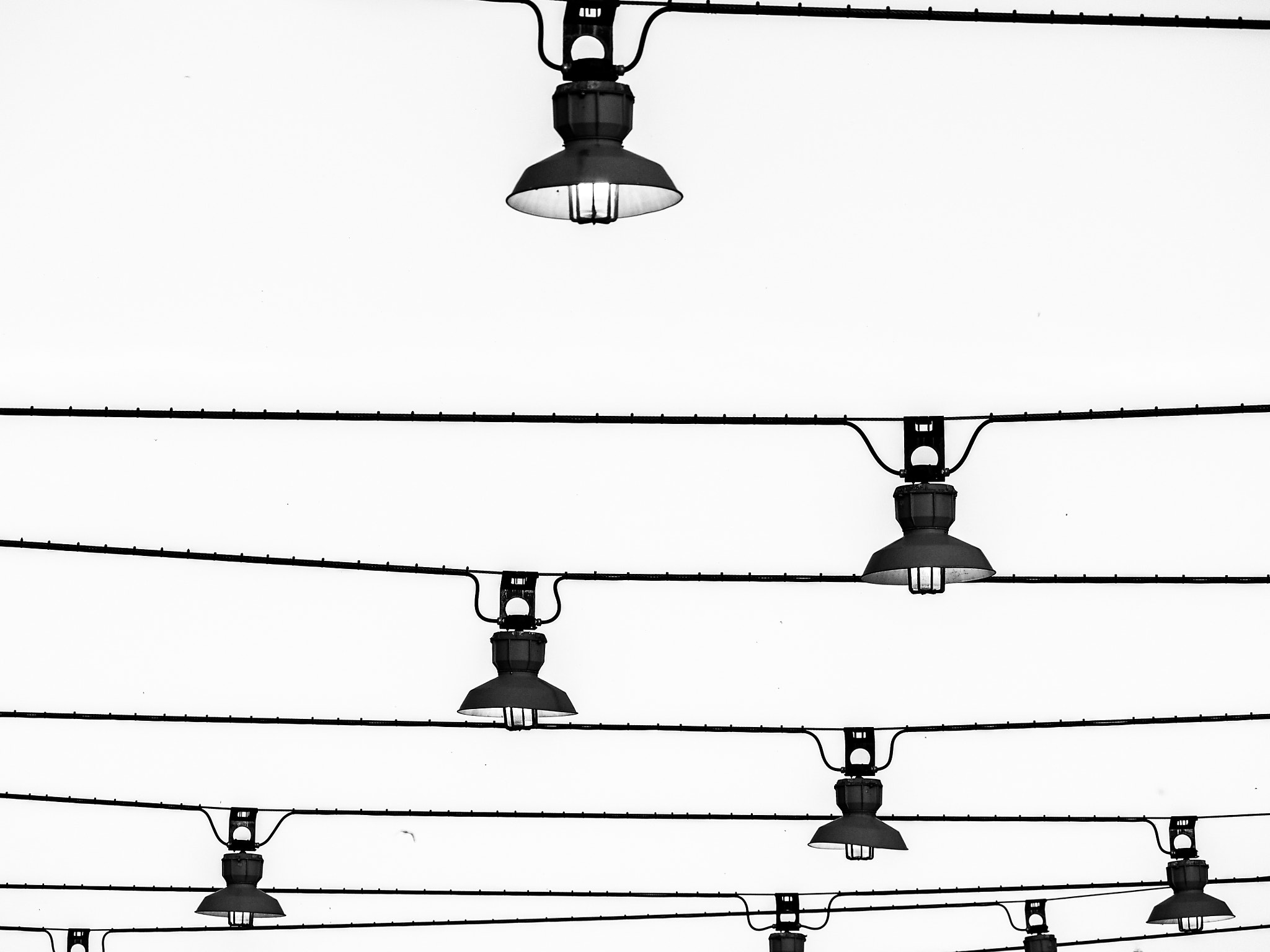 Olympus OM-D E-M5 sample photo. Hanging lights photography