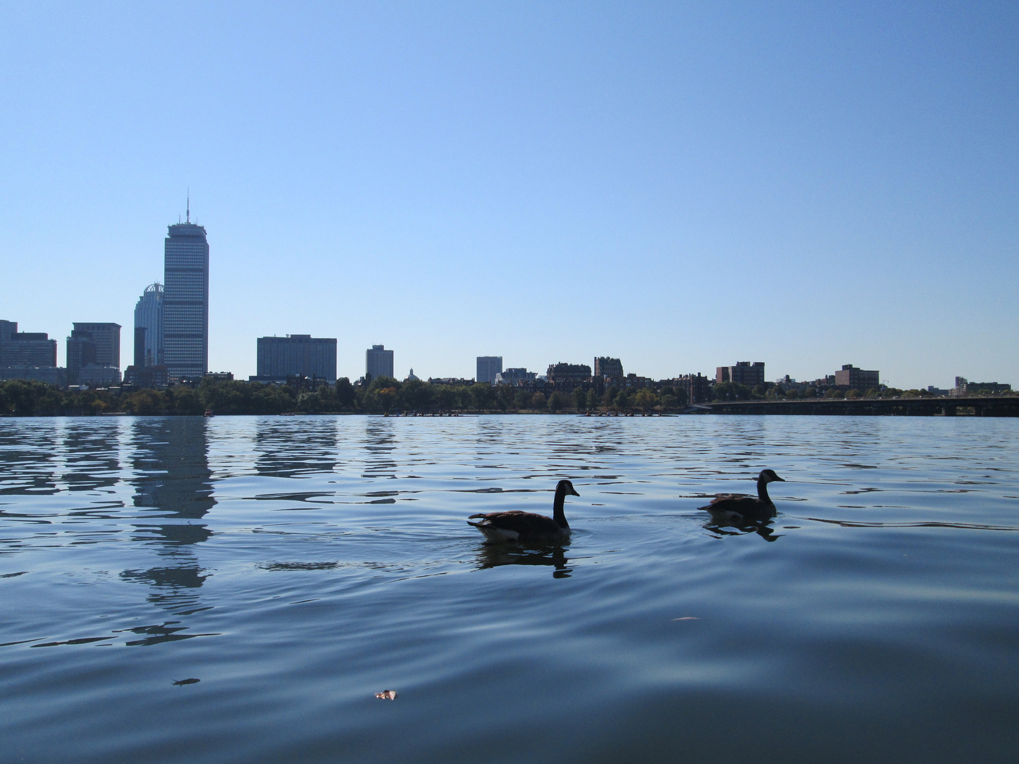 Canon PowerShot A3500 IS sample photo. Charles river photography