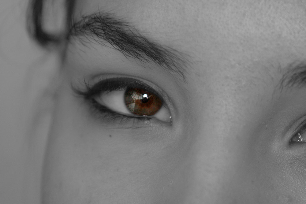 Canon EF 28-90mm f/4-5.6 sample photo. Focused color  photography
