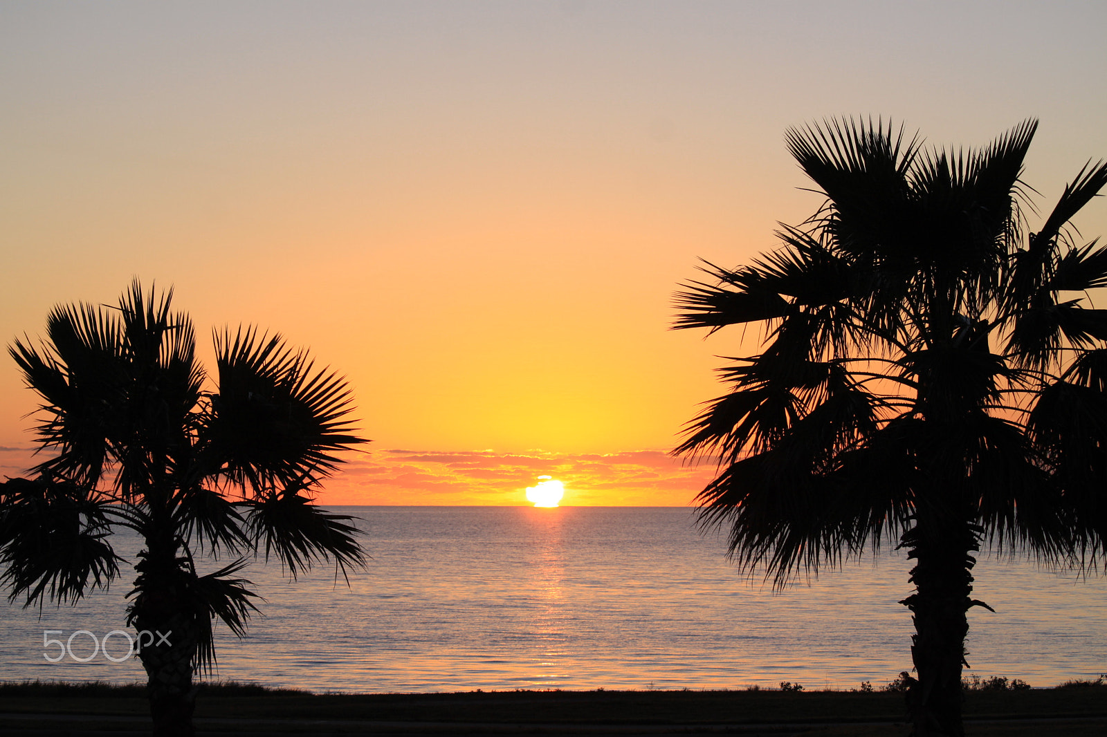 Canon EF-S 55-250mm F4-5.6 IS STM sample photo. Corpus christi photography