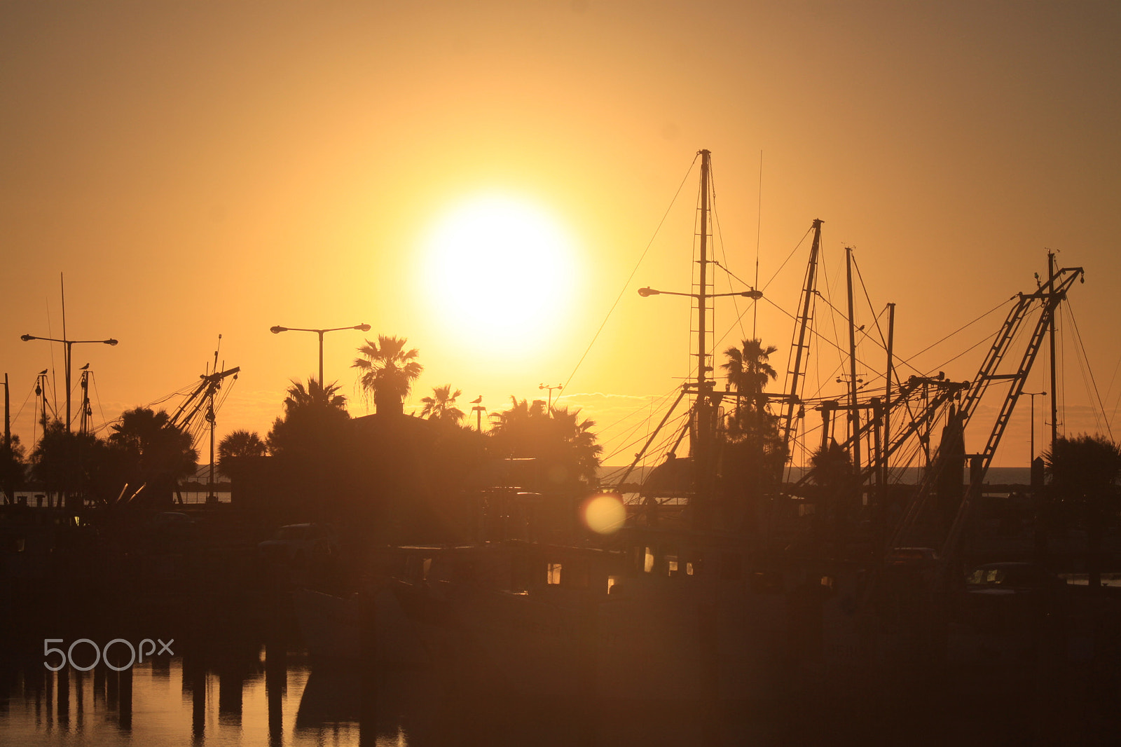 Canon EF-S 55-250mm F4-5.6 IS STM sample photo. Corpus christi marina photography