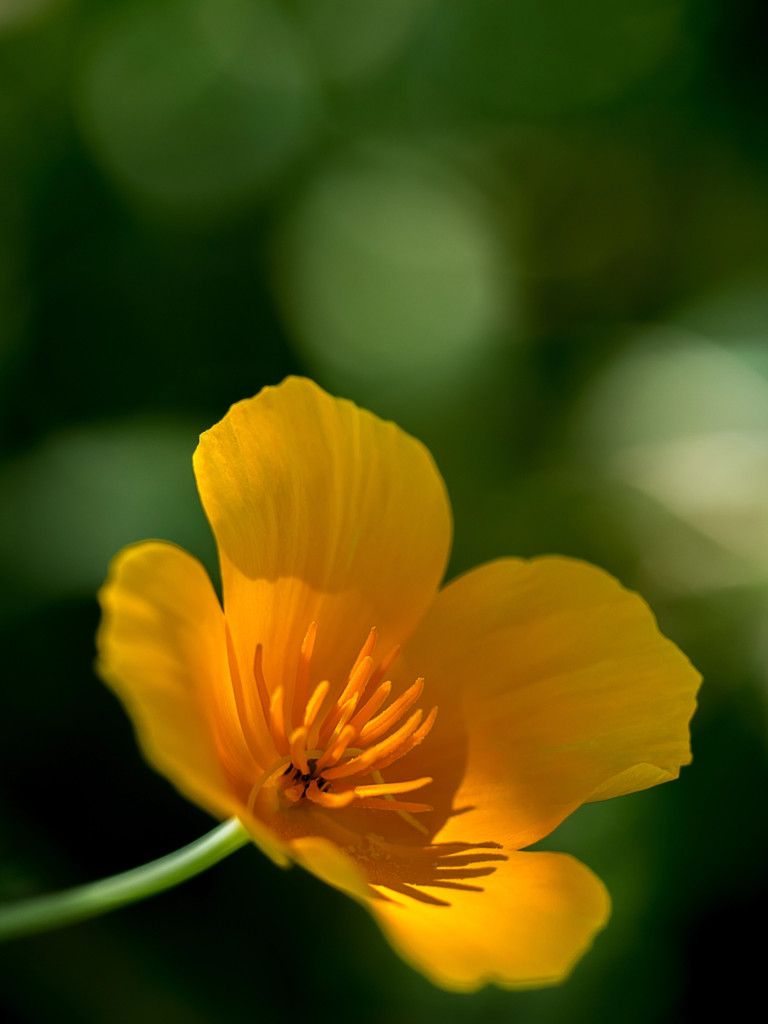 Olympus OM-D E-M10 + Olympus M.Zuiko Digital ED 40-150mm F2.8 Pro sample photo. Natural light photography