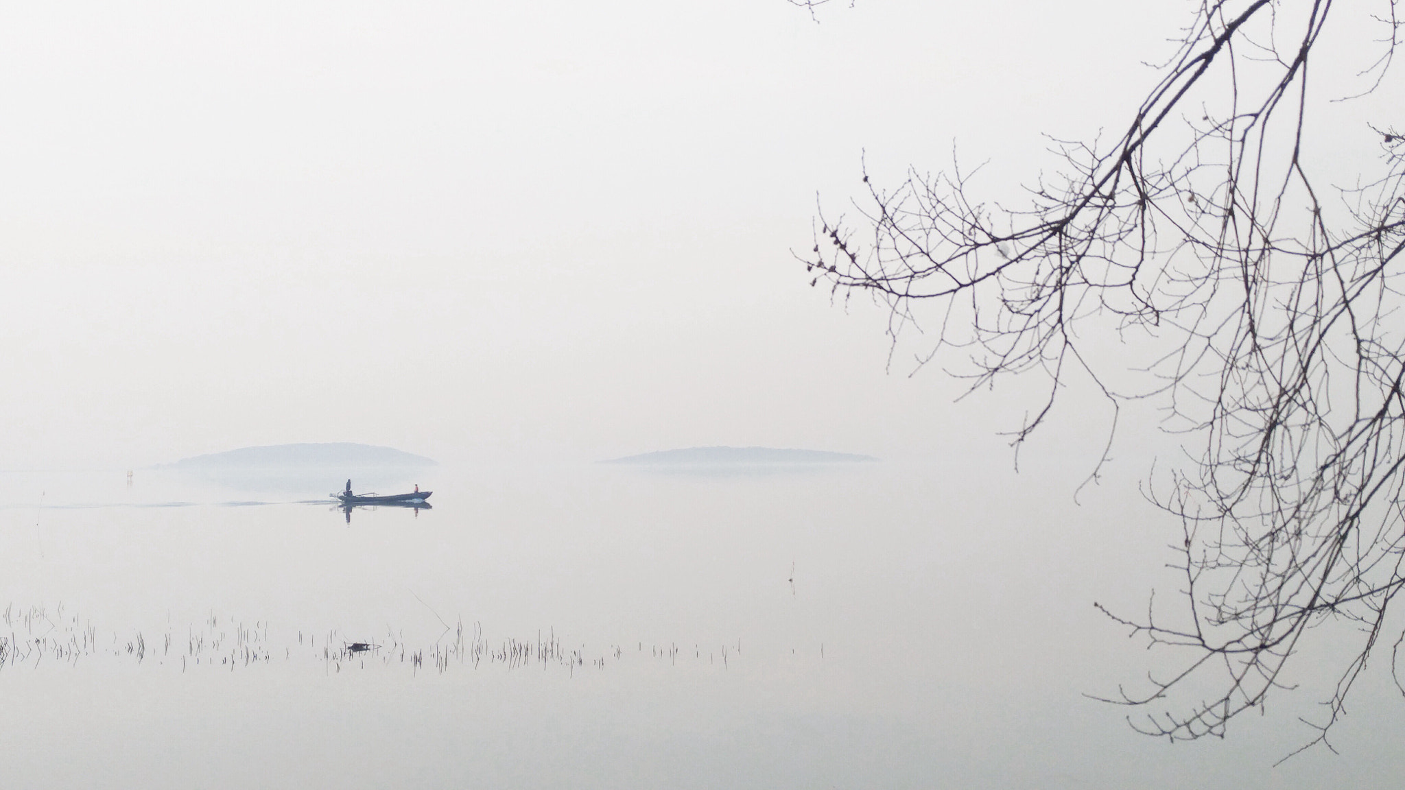 Xiaomi MI NOTE Pro sample photo. Foggy morning photography