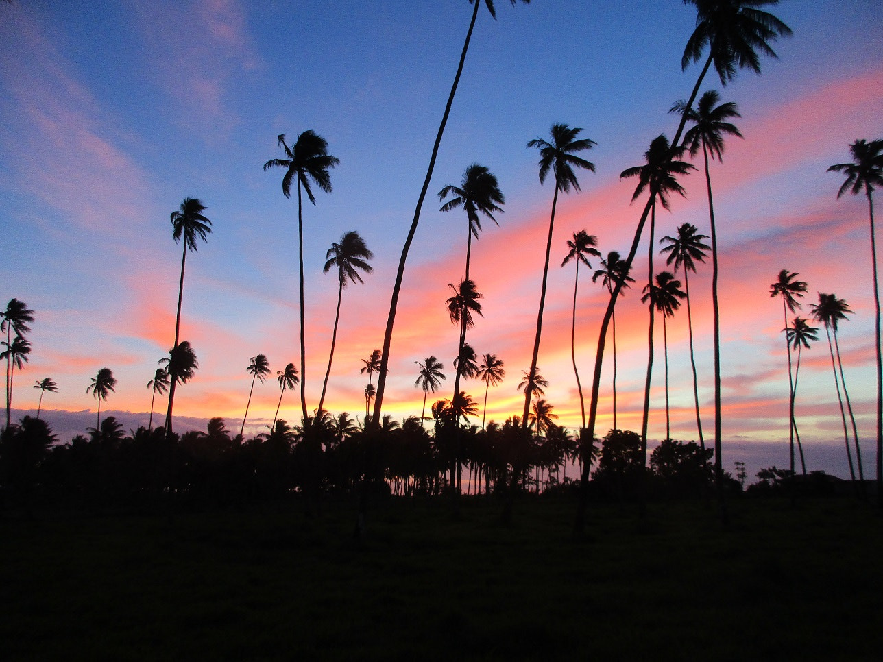 Canon PowerShot ELPH 170 IS (IXUS 170 / IXY 170) sample photo. Palm sunset in fiji photography