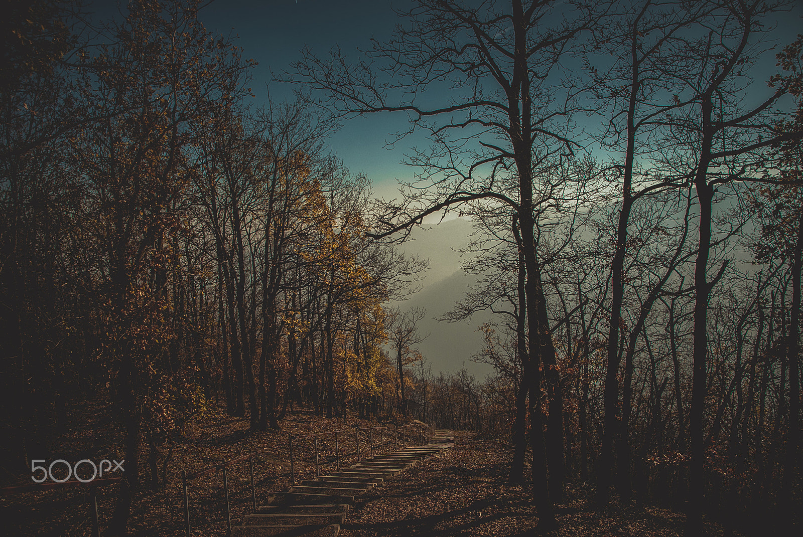 Nikon D80 + Sigma 18-200mm F3.5-6.3 DC sample photo. One day... photography