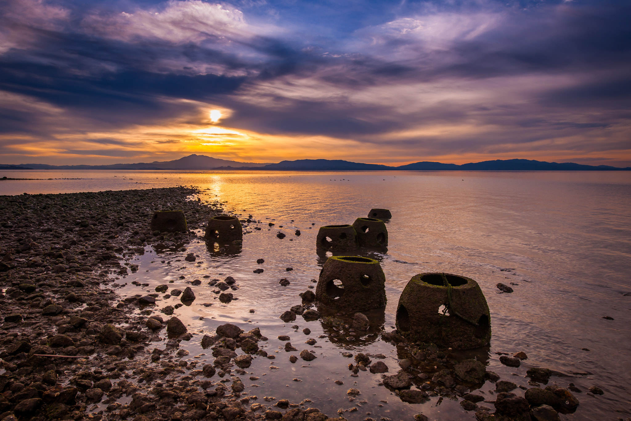 Nikon D3X sample photo. Oyster reef balls photography