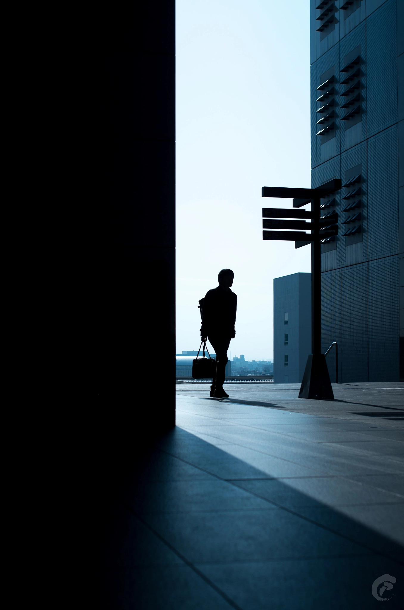 Pentax K-30 + Sigma 35mm F1.4 DG HSM Art sample photo. Arriving photography