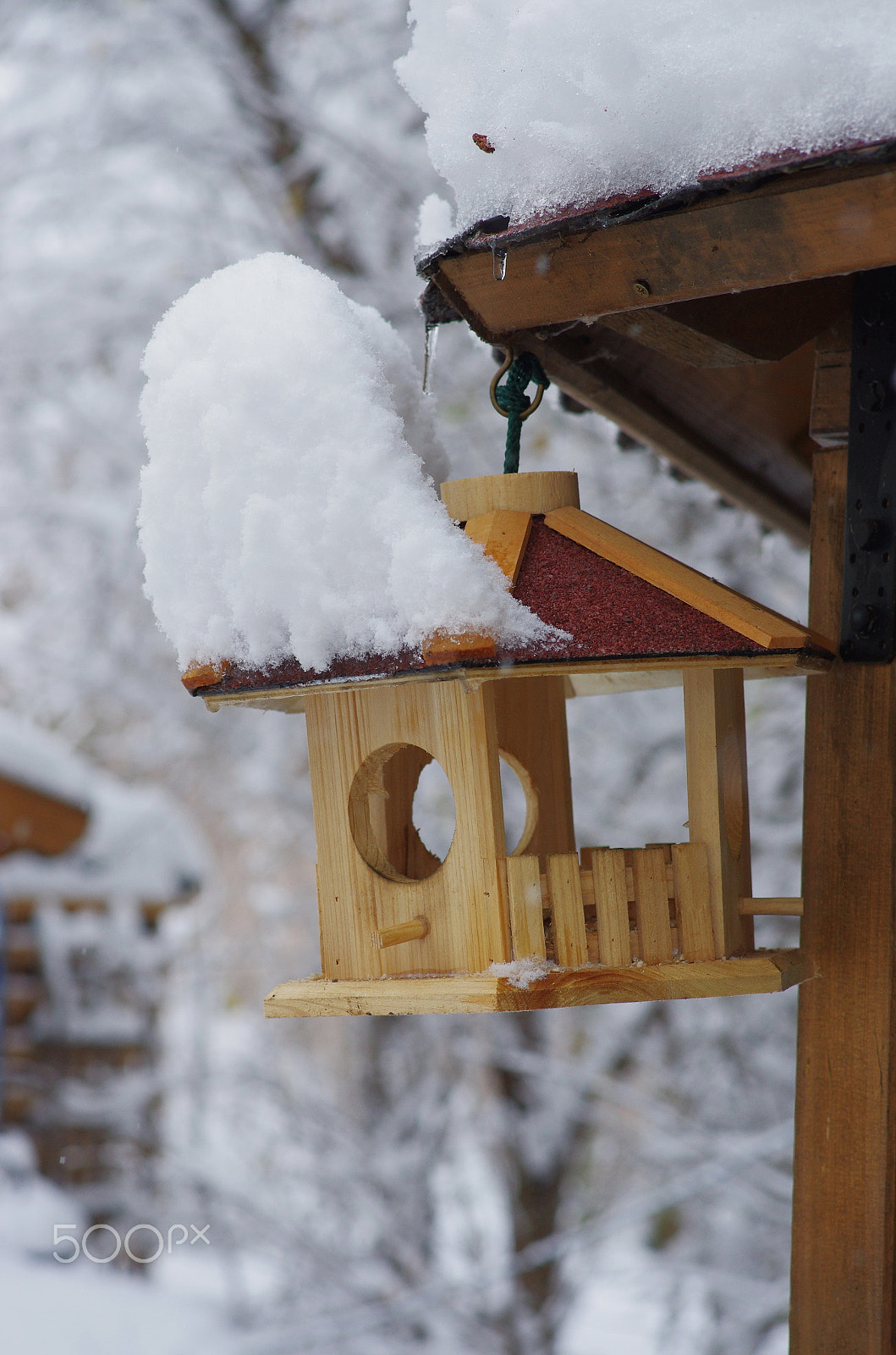 Pentax K-5 sample photo. Birdhouse snow photography