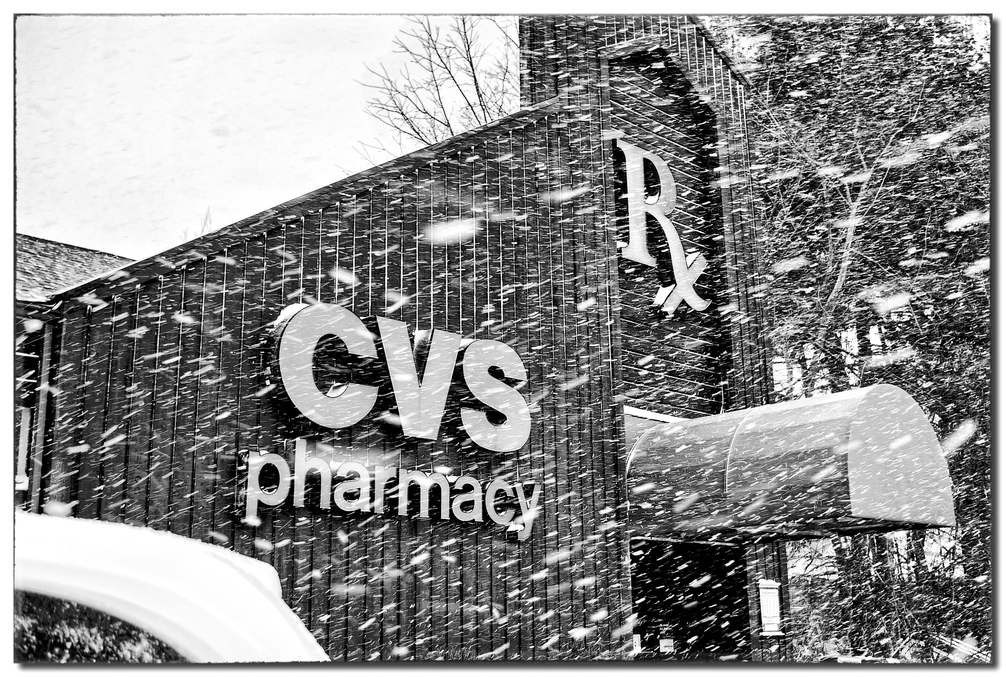 Pentax K-x sample photo. Cvs in b and w in snowstorm photography