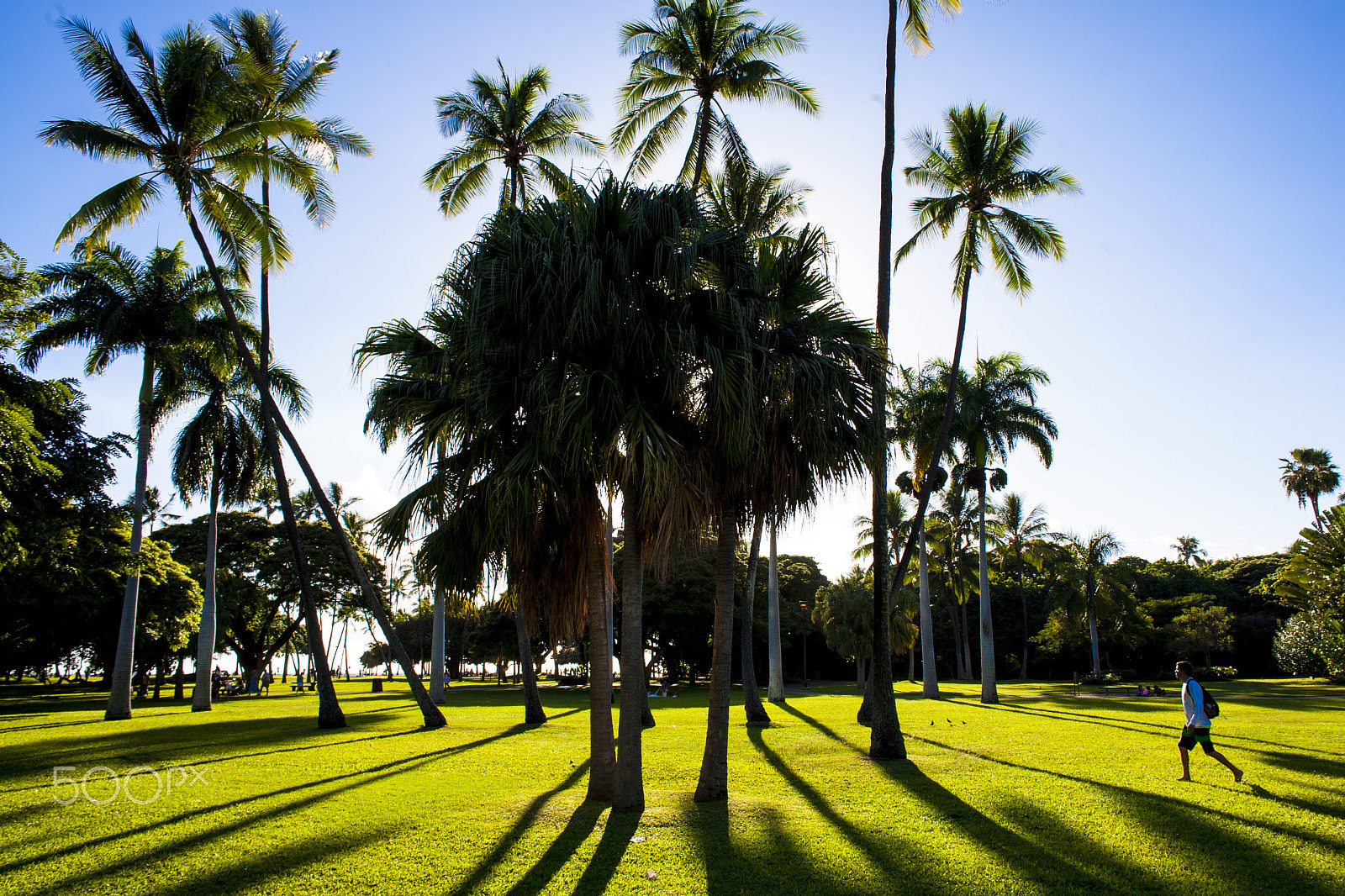 Canon EF 24mm f/1.4L sample photo. Photo by dawid parus (www.dawidparus.com) photography