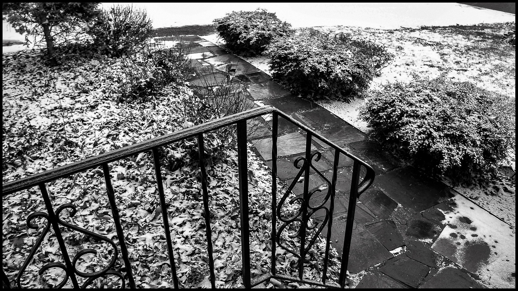 Pentax K-x sample photo. Snow pic taken saftely from porch photography