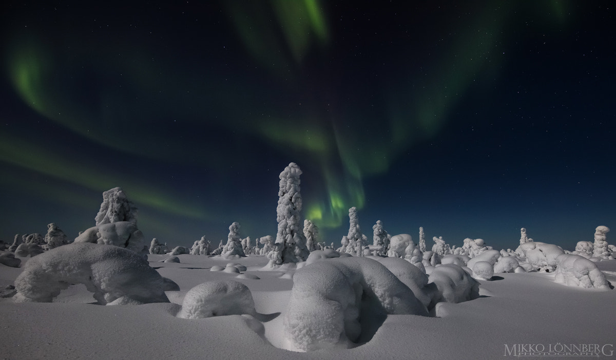 Canon EOS 5DS R + Canon EF 300mm f/2.8L sample photo. Lapland night photography