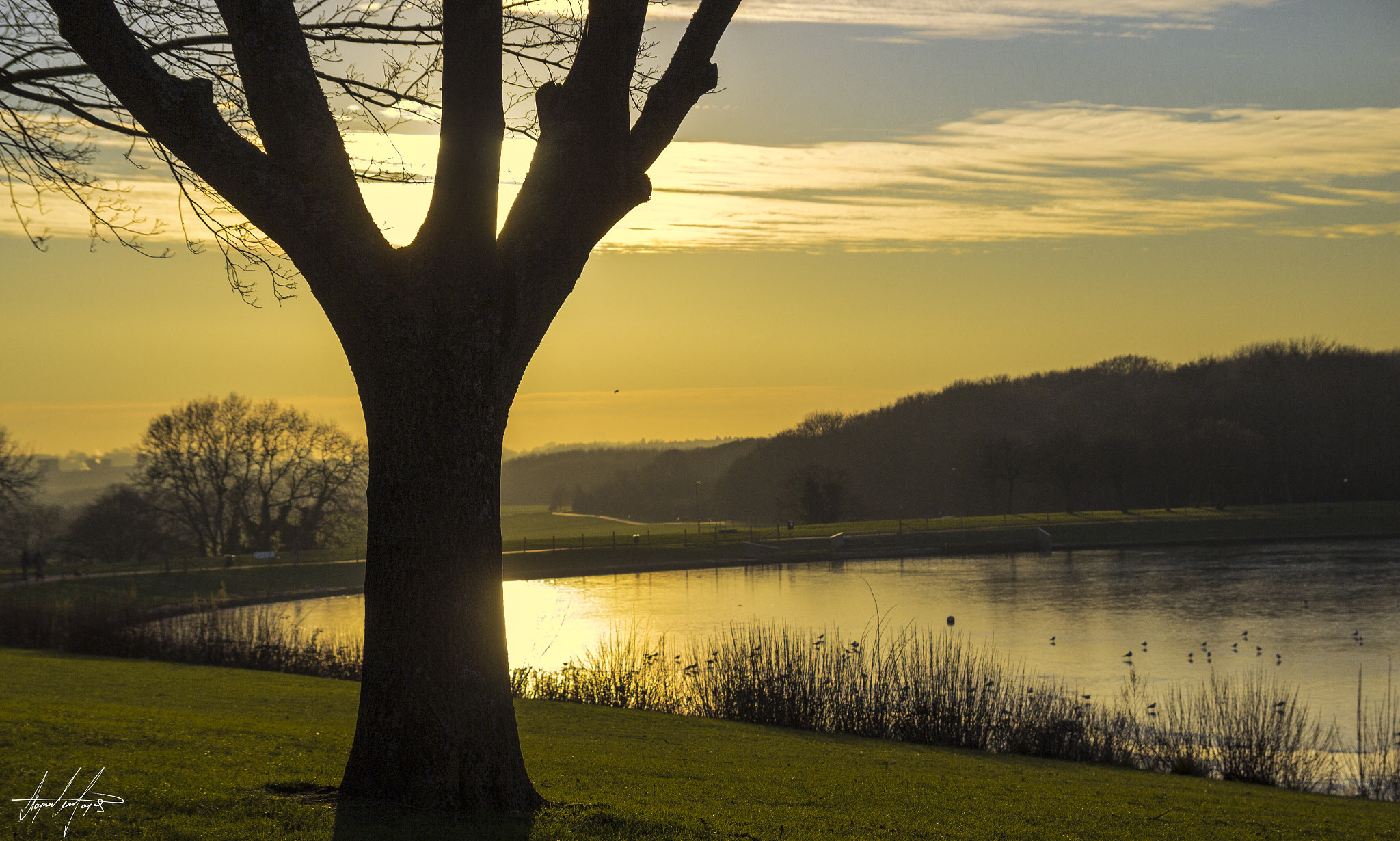Canon EOS 600D (Rebel EOS T3i / EOS Kiss X5) sample photo. Under the shade. sailing lake - stevenage. photography