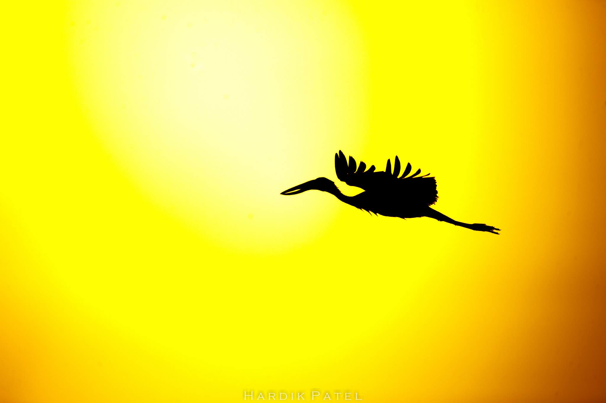 Nikon D4S sample photo. Fly through sun photography