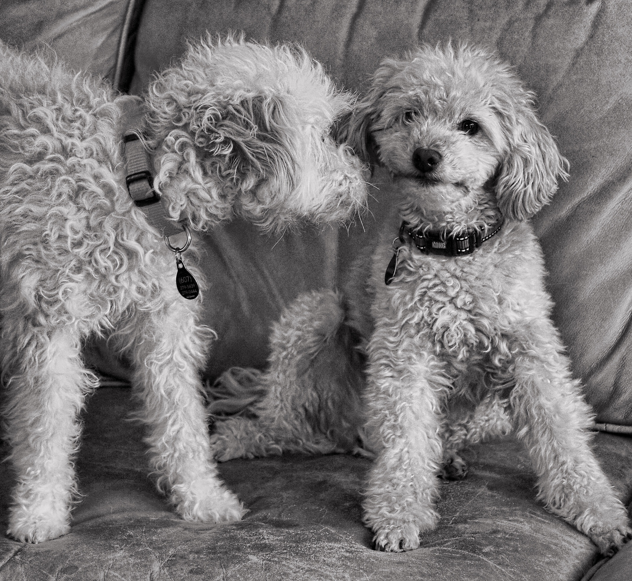 Canon EF-M 18-55mm F3.5-5.6 IS STM sample photo. Lita and max photography