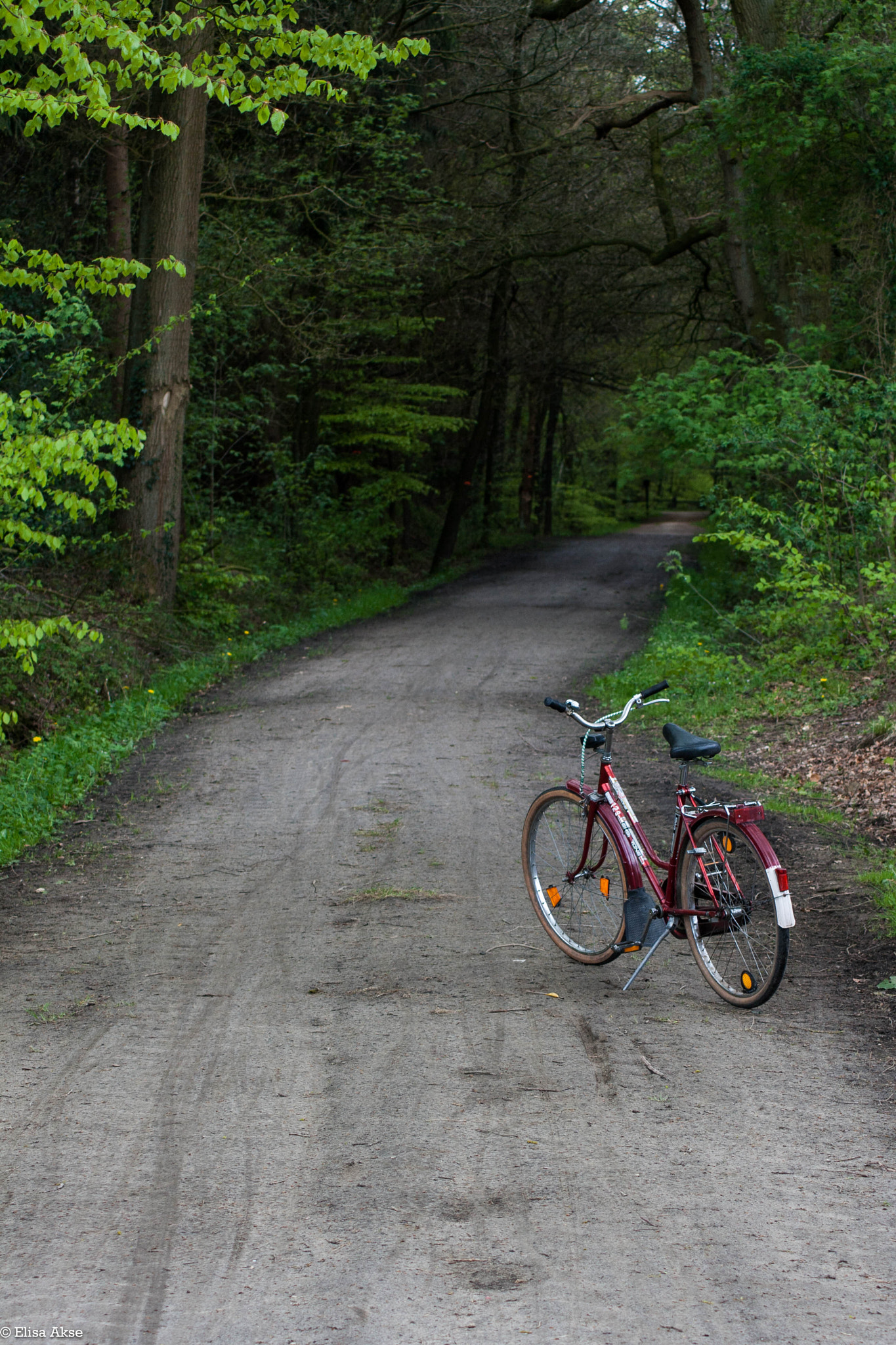 Canon EOS 400D (EOS Digital Rebel XTi / EOS Kiss Digital X) sample photo. My favourite bike photography