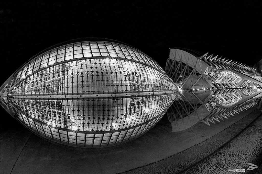 Canon EF 8-15mm F4L Fisheye USM sample photo. _mg_7742.jpg photography