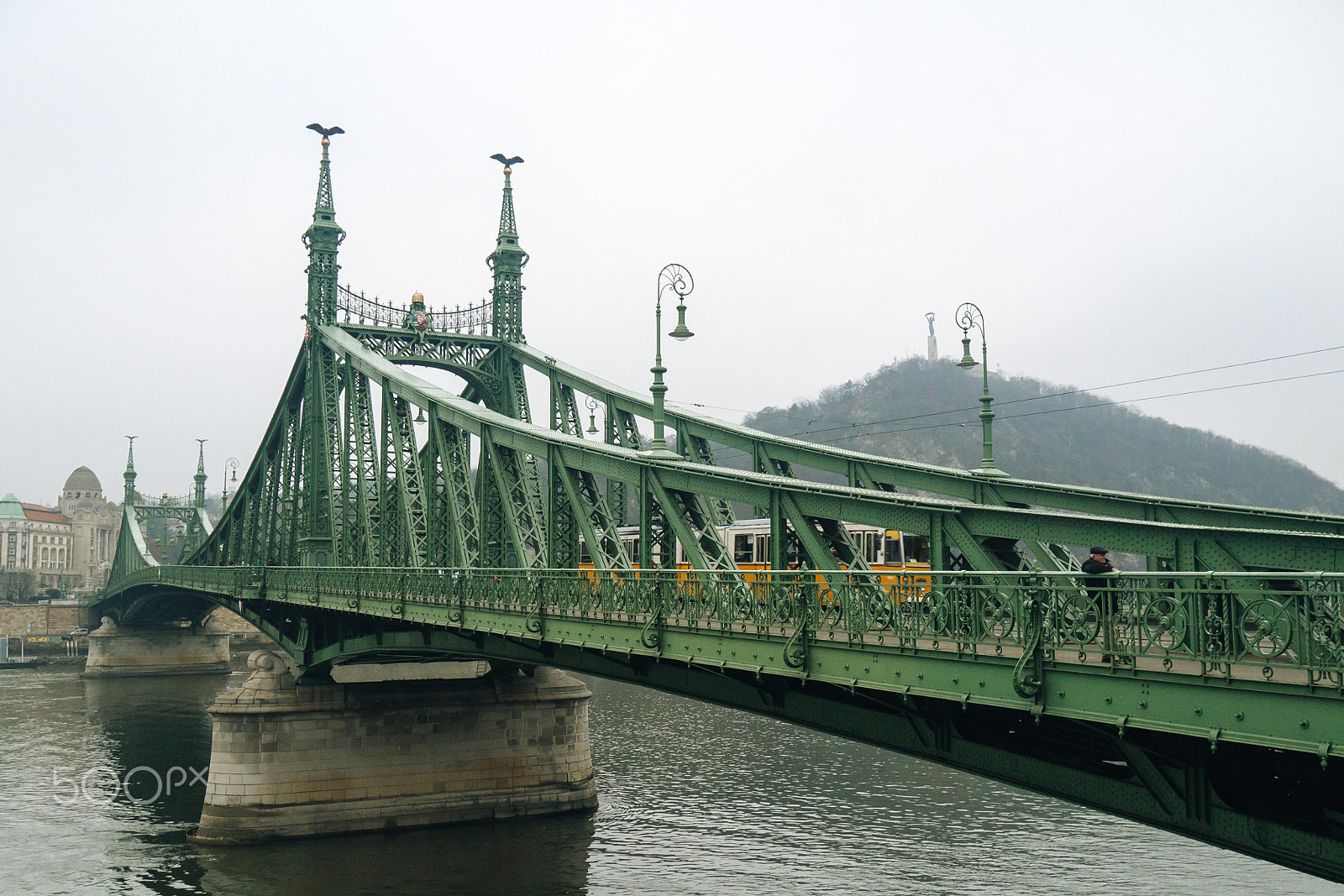 LUMIX G VARIO 14-42/F3.5-5.6 II sample photo. The liberty bridge 1 photography