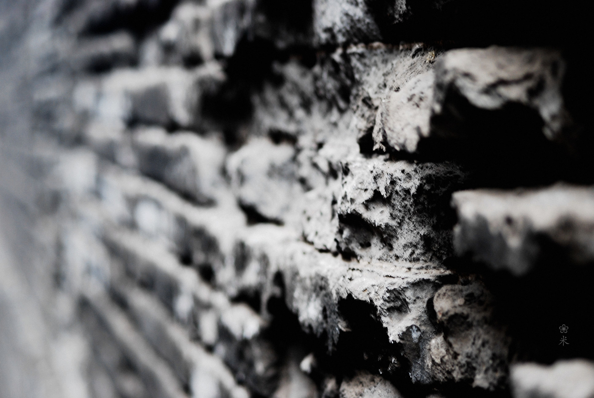 Nikon D80 + AF Nikkor 70-210mm f/4-5.6D sample photo. 见证 photography