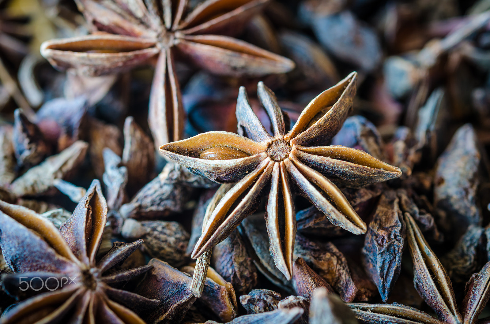 Nikon AF-S Micro-Nikkor 60mm F2.8G ED sample photo. Anis-estrelado photography