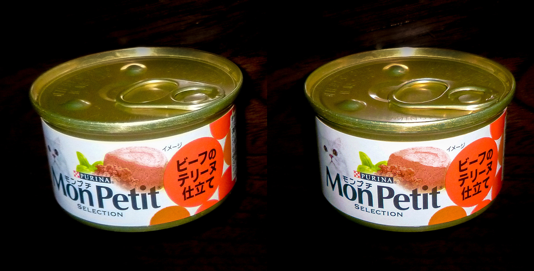 Izumi Okano Haeckel Profile 500px