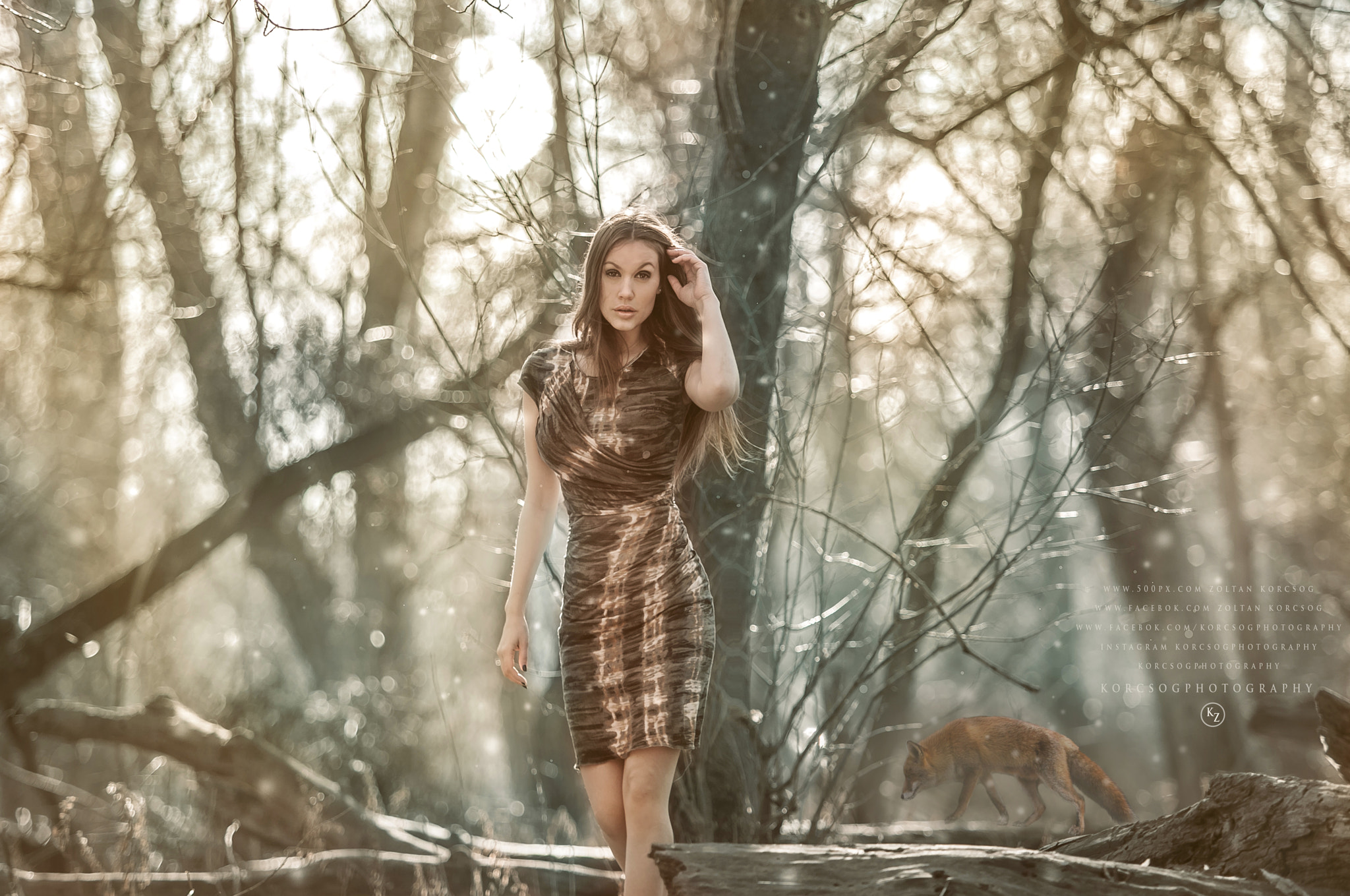 Canon EOS 5DS sample photo. Fox photography