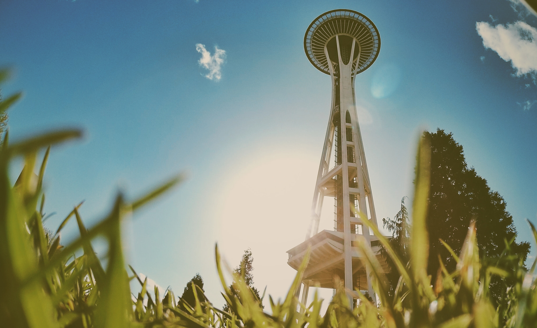 HTC RE sample photo. Needle from a grass stack photography