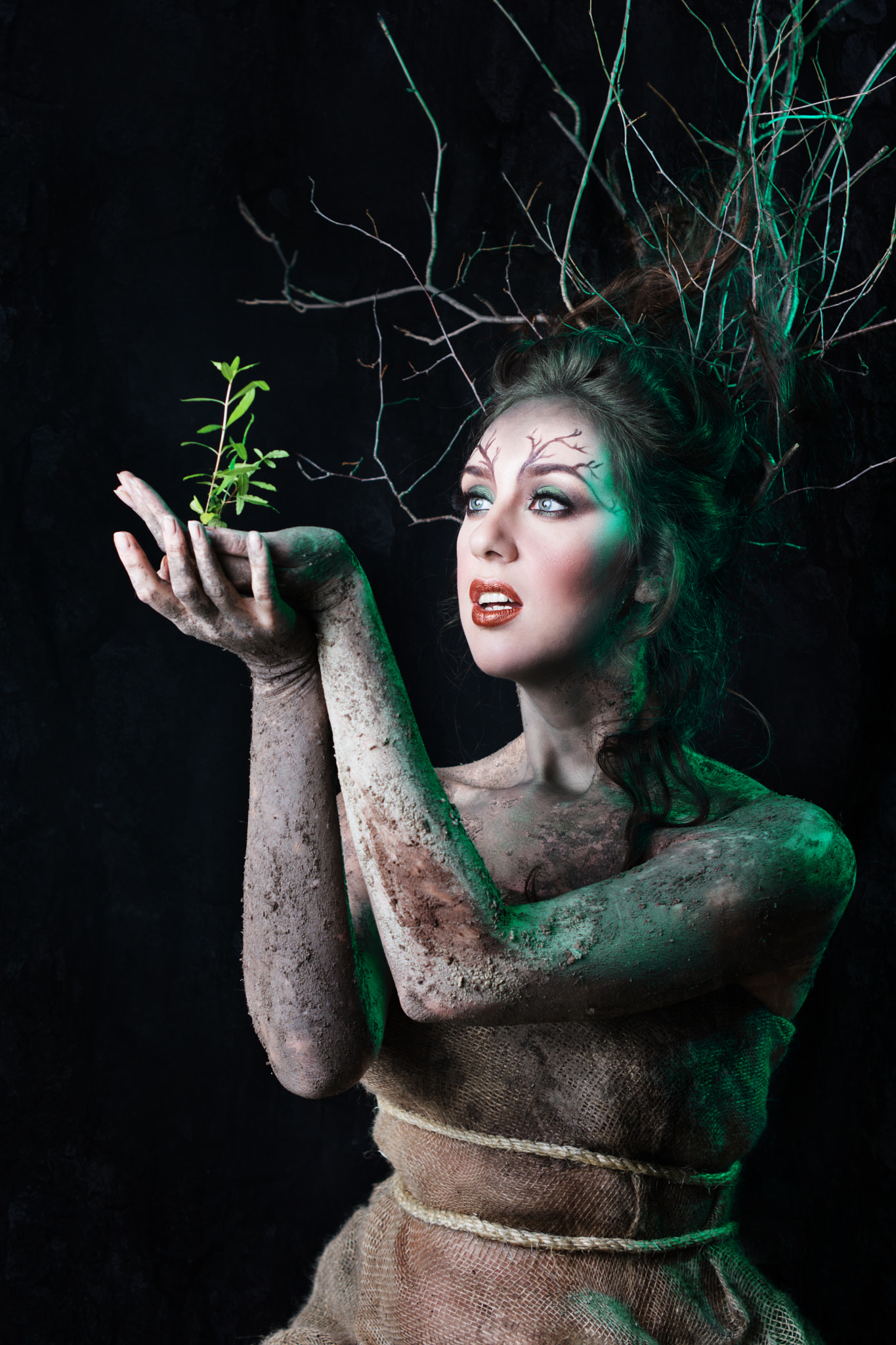 Sony SLT-A77 sample photo. Series. dryad photography