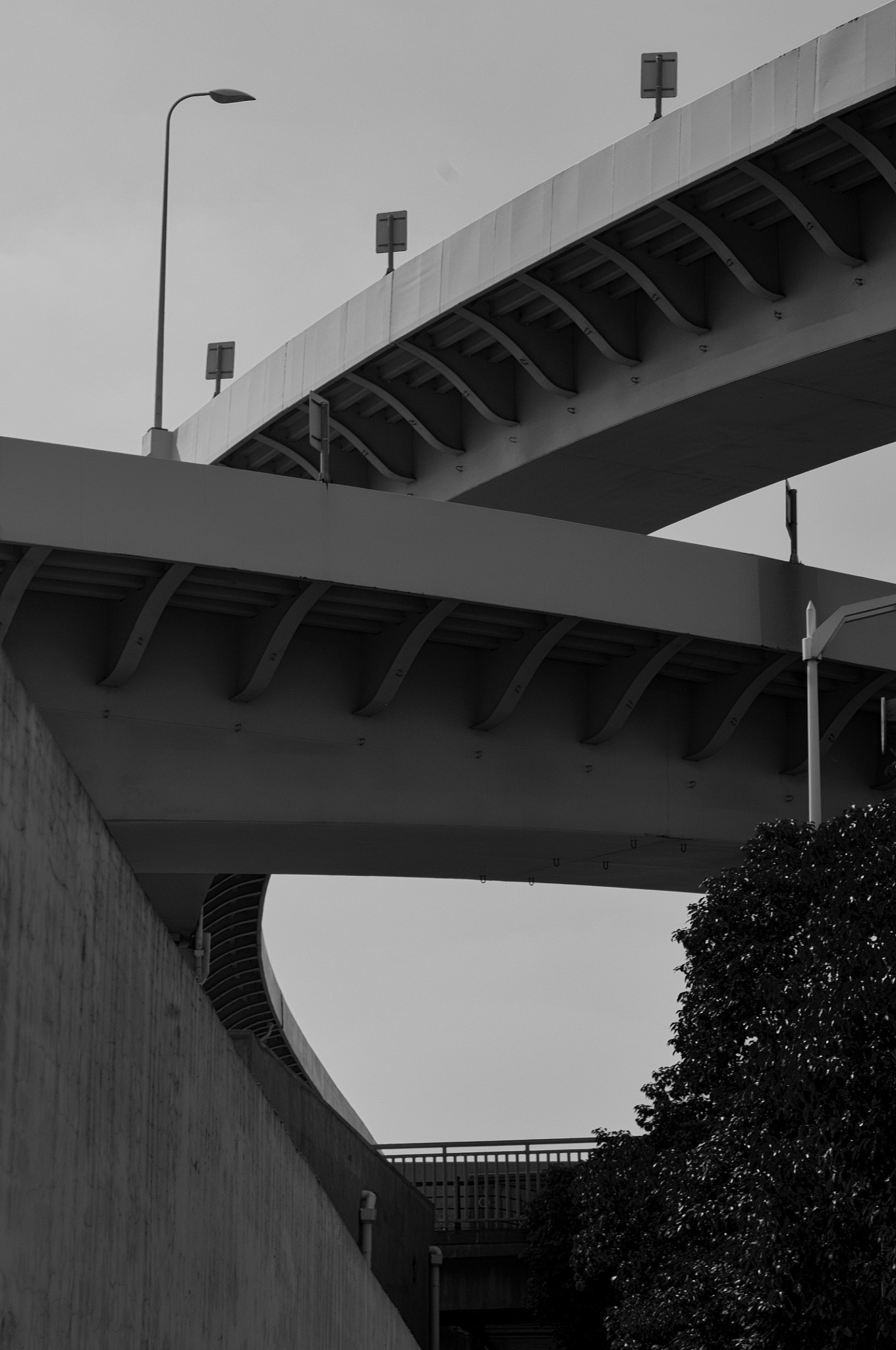 Nikon D300S + Nikon AF Micro-Nikkor 60mm F2.8D sample photo. Bridge photography