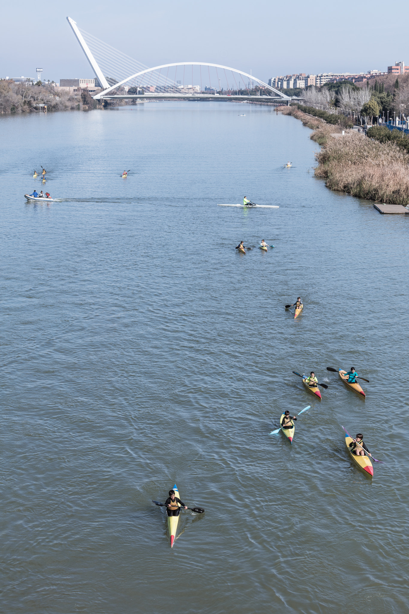 Canon EOS 5DS R + Canon EF 70-300mm F4.5-5.6 DO IS USM sample photo. Rowing on the river guadalquivir photography