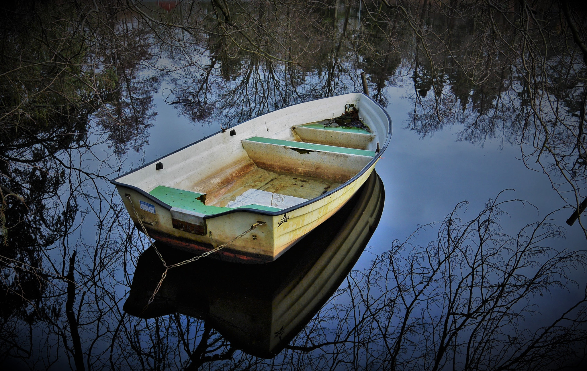 Nikon 1 S1 sample photo. Waiting for spring... photography