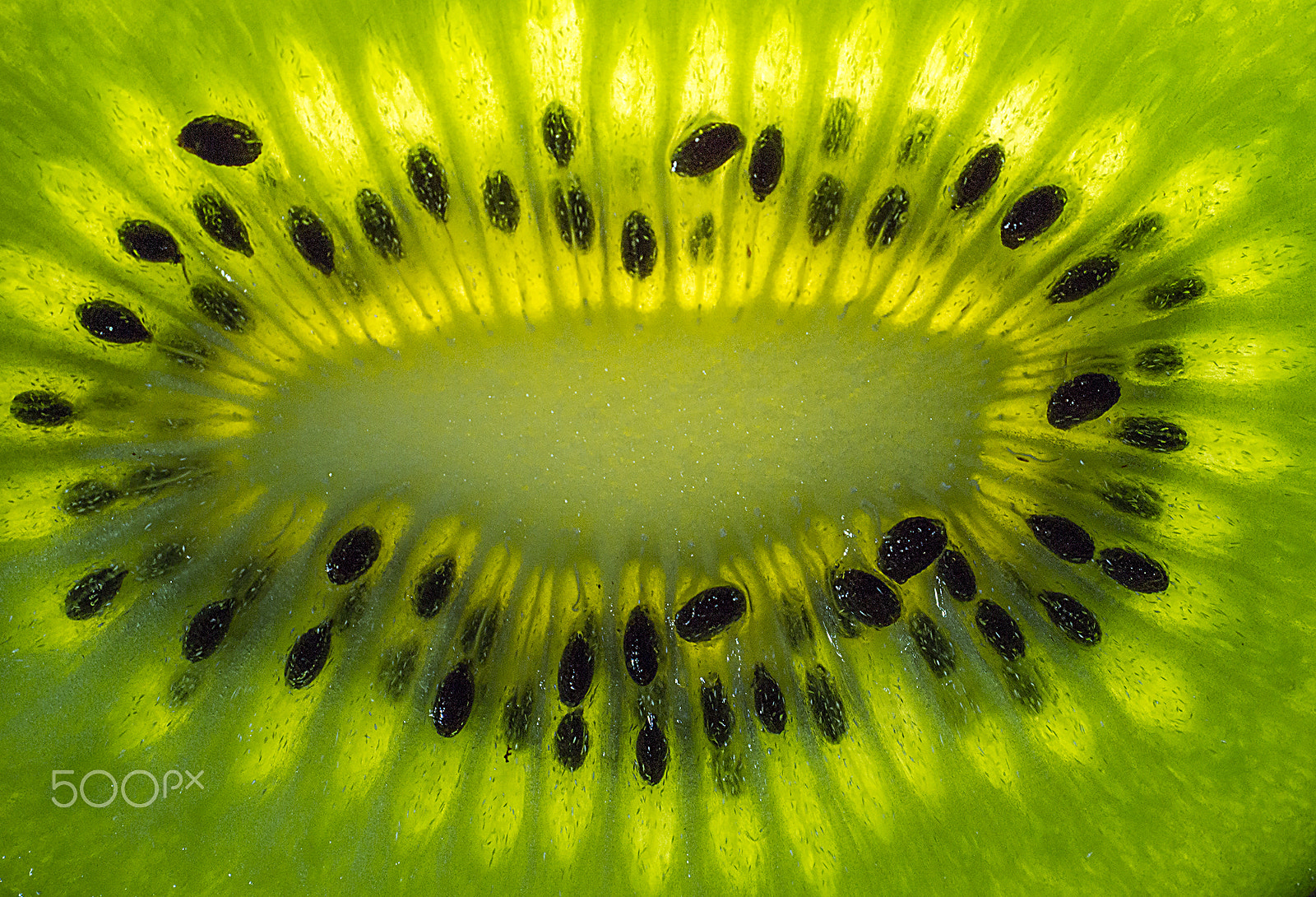 Sony SLT-A58 + Sony DT 30mm F2.8 Macro SAM sample photo. Kiwi photography