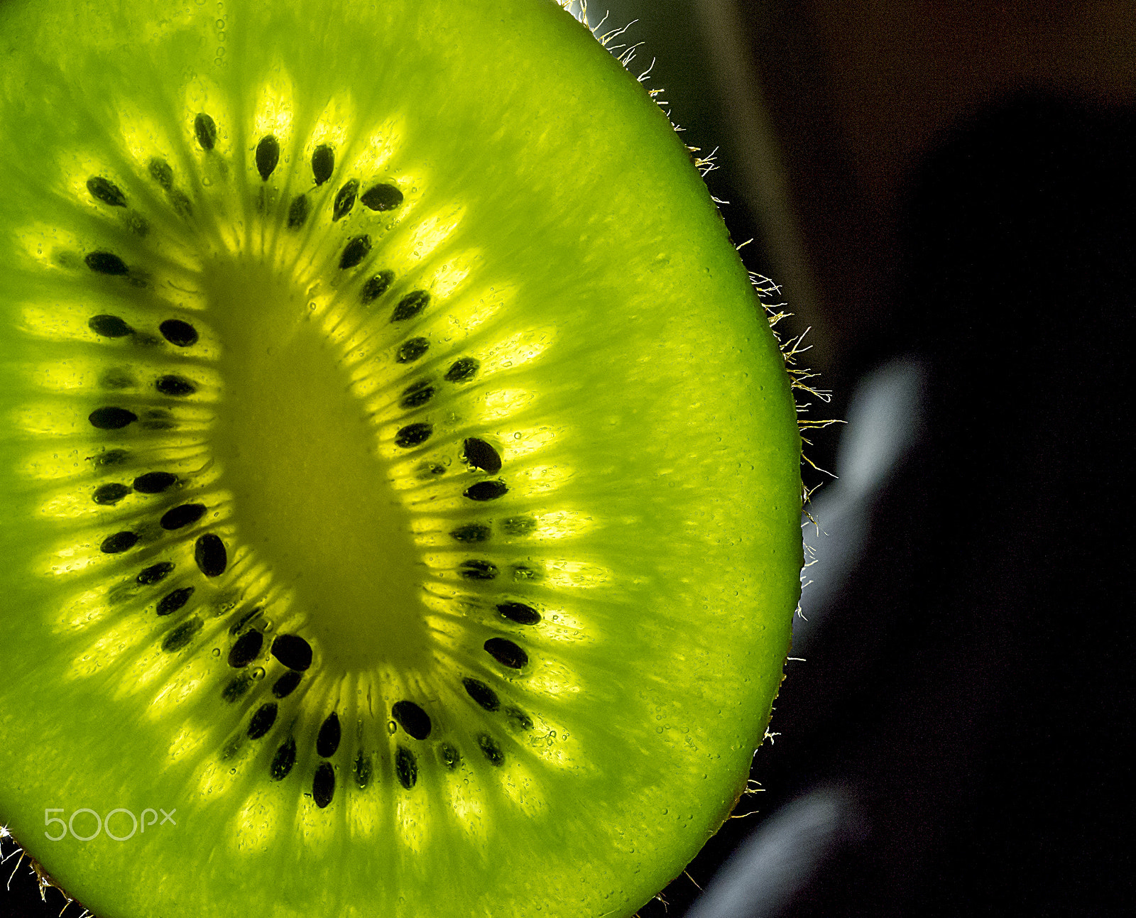 Sony SLT-A58 + Sony DT 30mm F2.8 Macro SAM sample photo. Kiwi photography