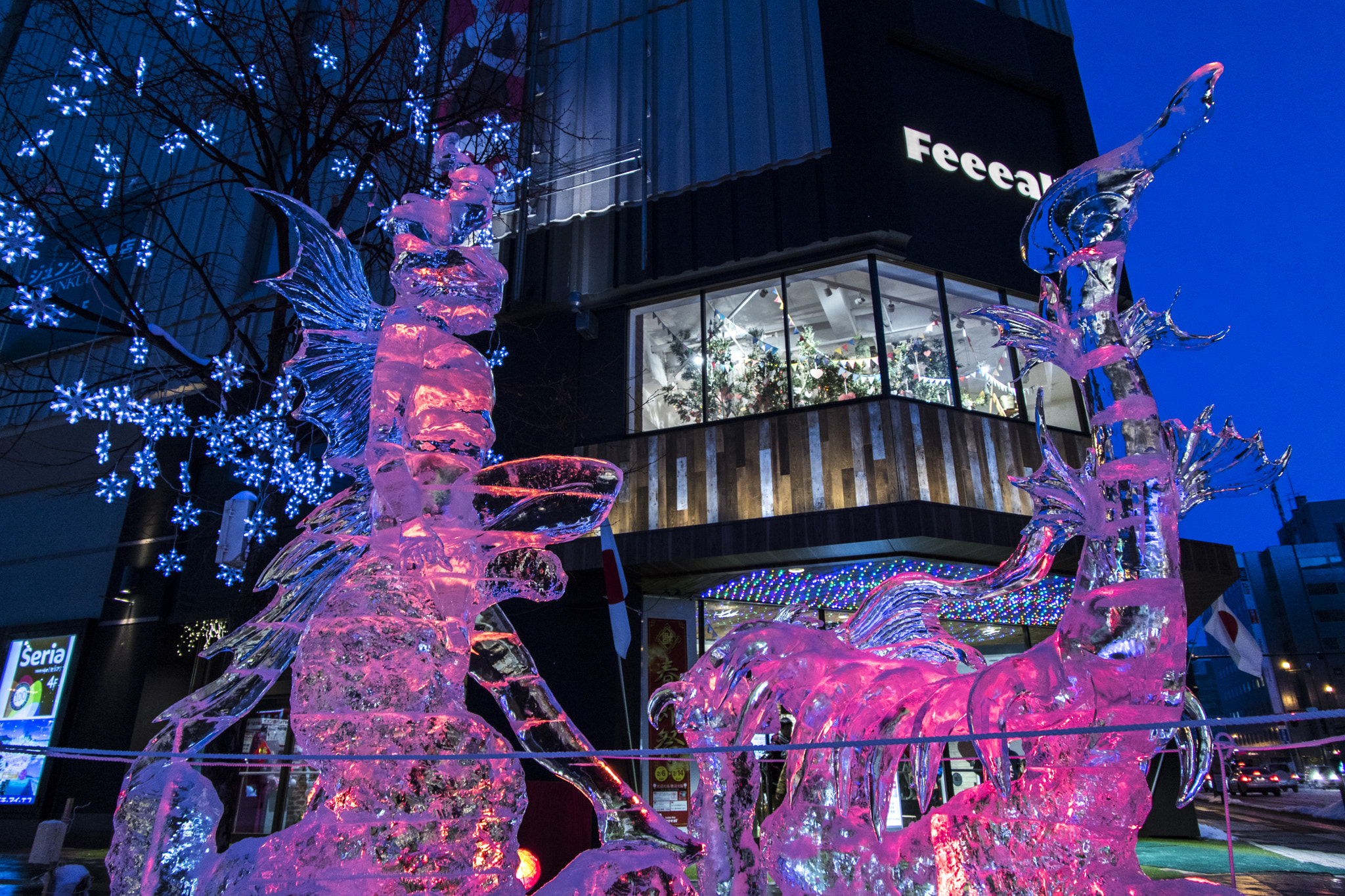 Canon EF 8-15mm F4L Fisheye USM sample photo. Ice sculptures photography
