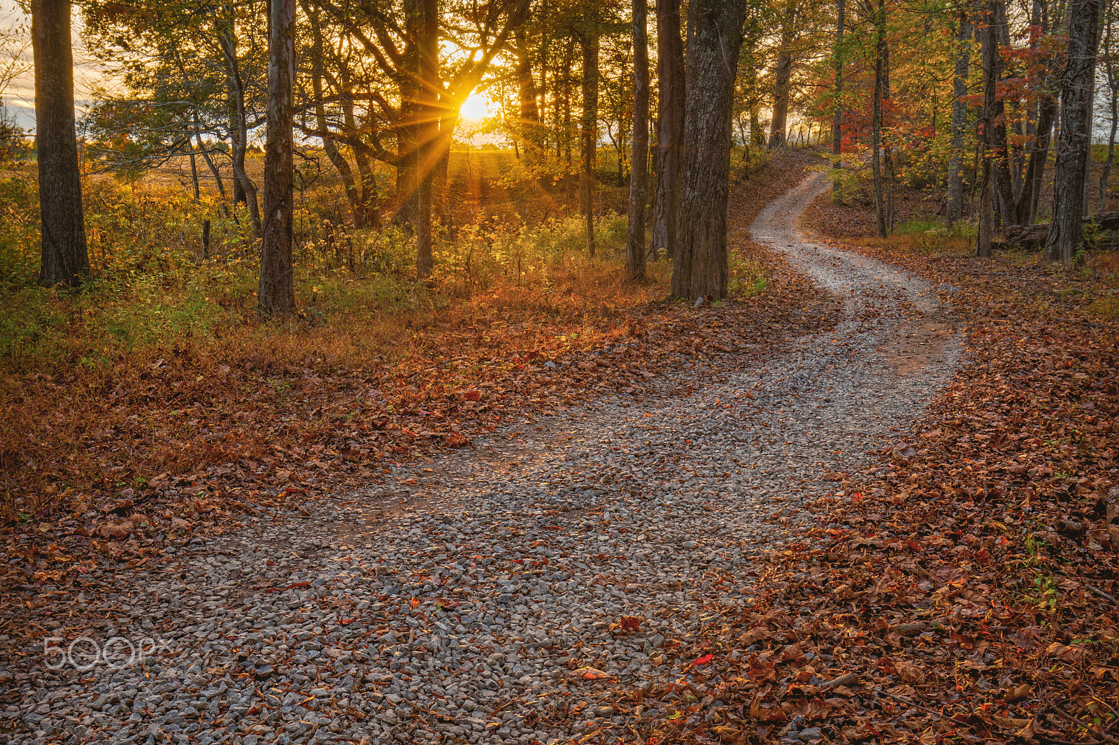 Canon EOS-1D Mark III sample photo. Sunset drive photography