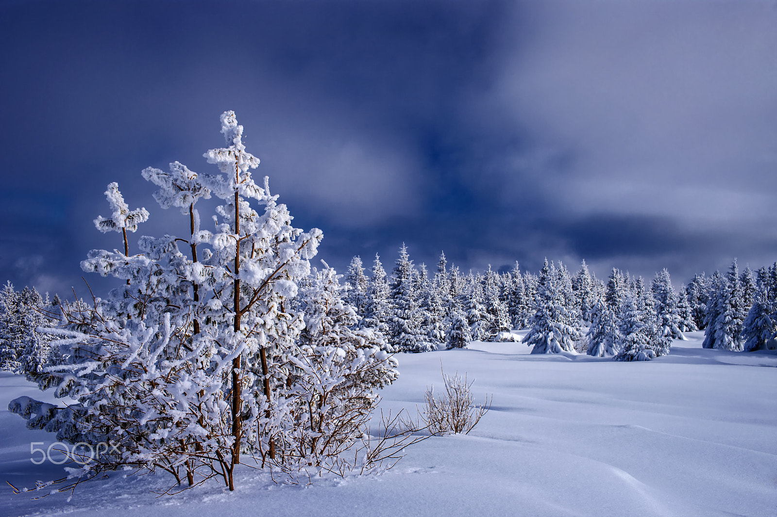 Canon EF 35mm F1.4L USM sample photo. Winter magic photography