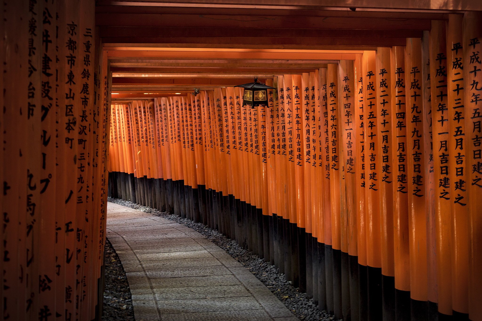 Nikon 1 V3 + Nikon 1 Nikkor 18.5mm F1.8 sample photo. Fushimi inari photography