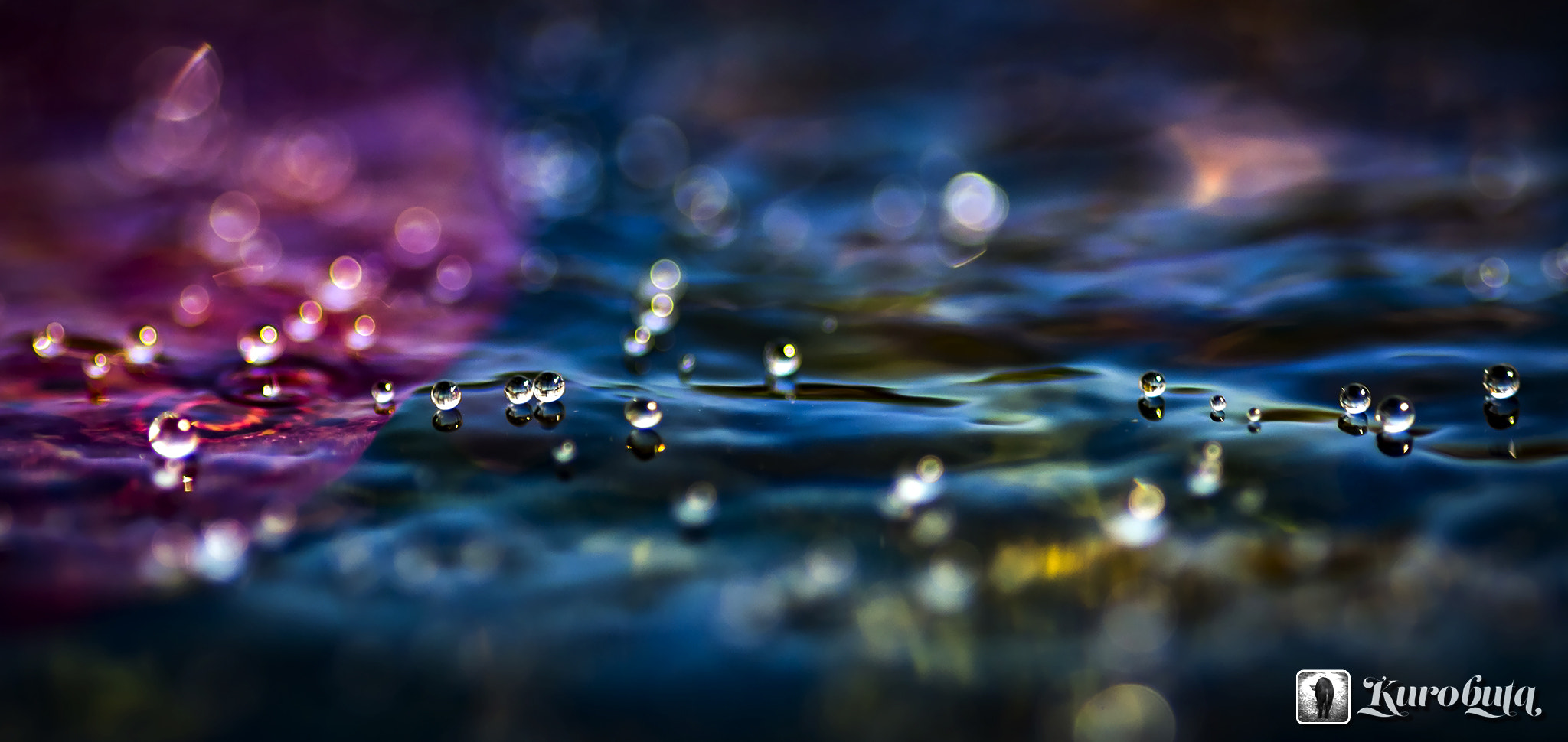Pentax smc D-FA 100mm F2.8 Macro WR sample photo. Water droplets of rhythm photography