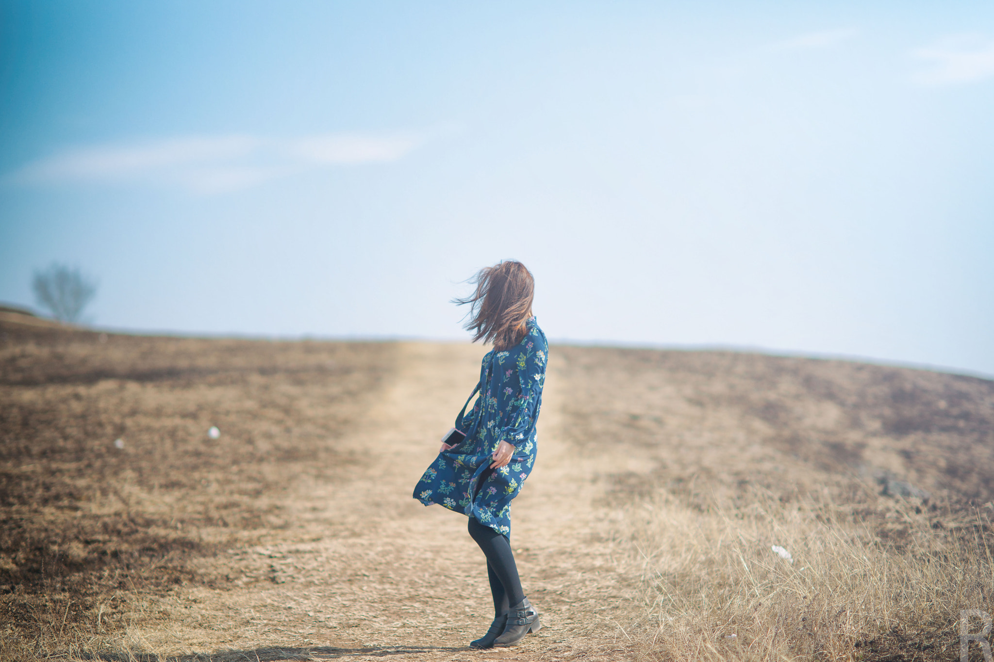 Sony Planar T* 85mm F1.4 ZA sample photo. Newyear7 photography