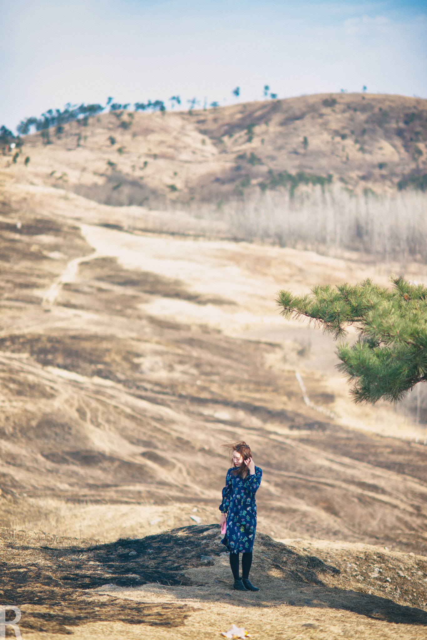 Sony Planar T* 85mm F1.4 ZA sample photo. Newyear8 photography