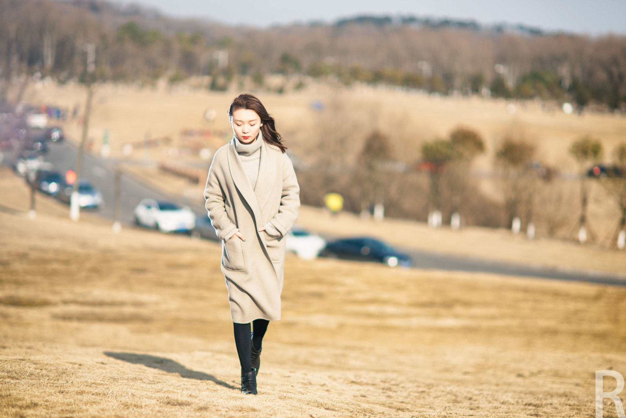 Sony Planar T* 85mm F1.4 ZA sample photo. Newyear0 photography
